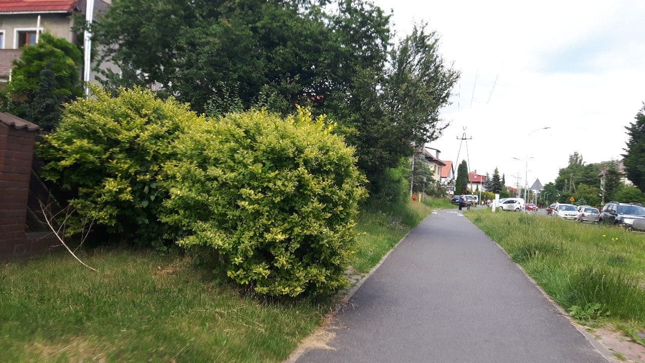 Street view near Solar Sylwia Solarek, Dąbie — © changchun1 (CC BY-SA · Mapillary)