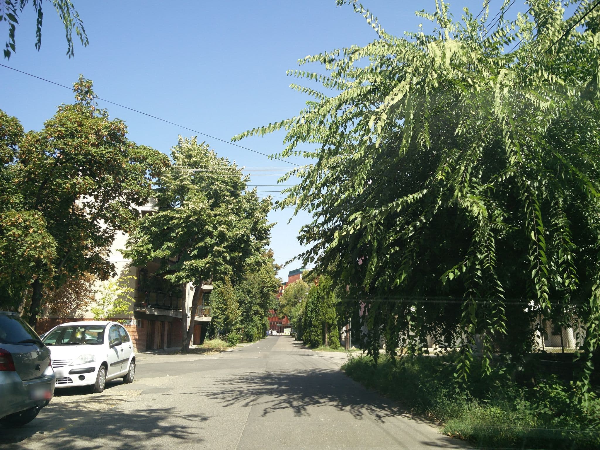 Street view near Maya Rezidencia, Újszeged — © kami911 (CC BY-SA · Mapillary)
