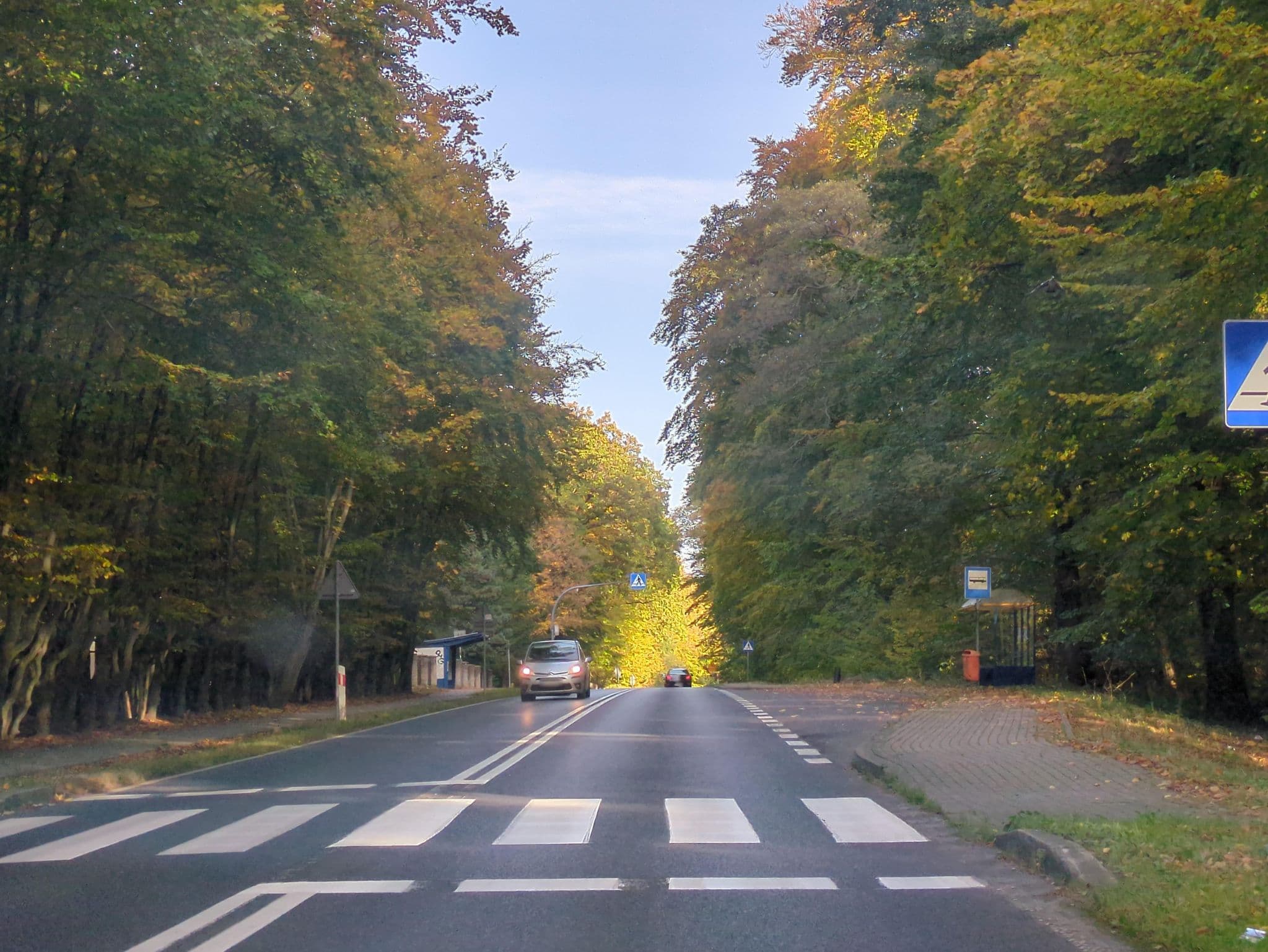 Street view near Prima Natura S.C., Kołobrzeg — © 6b17d8c50e264a46 (CC BY-SA · Mapillary)