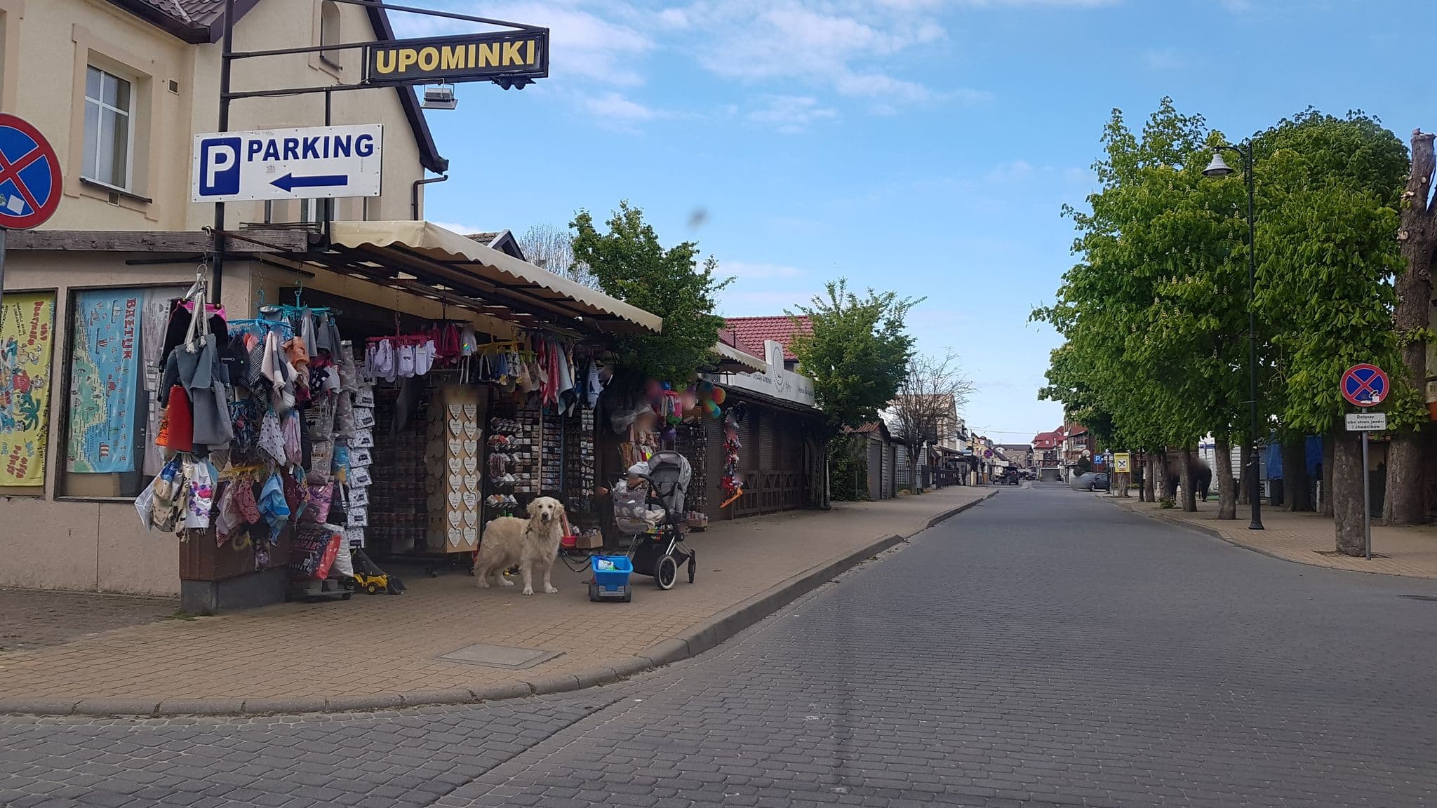 Street view near Asteria, Darłówko — © masterofnoroad (CC BY-SA · Mapillary)
