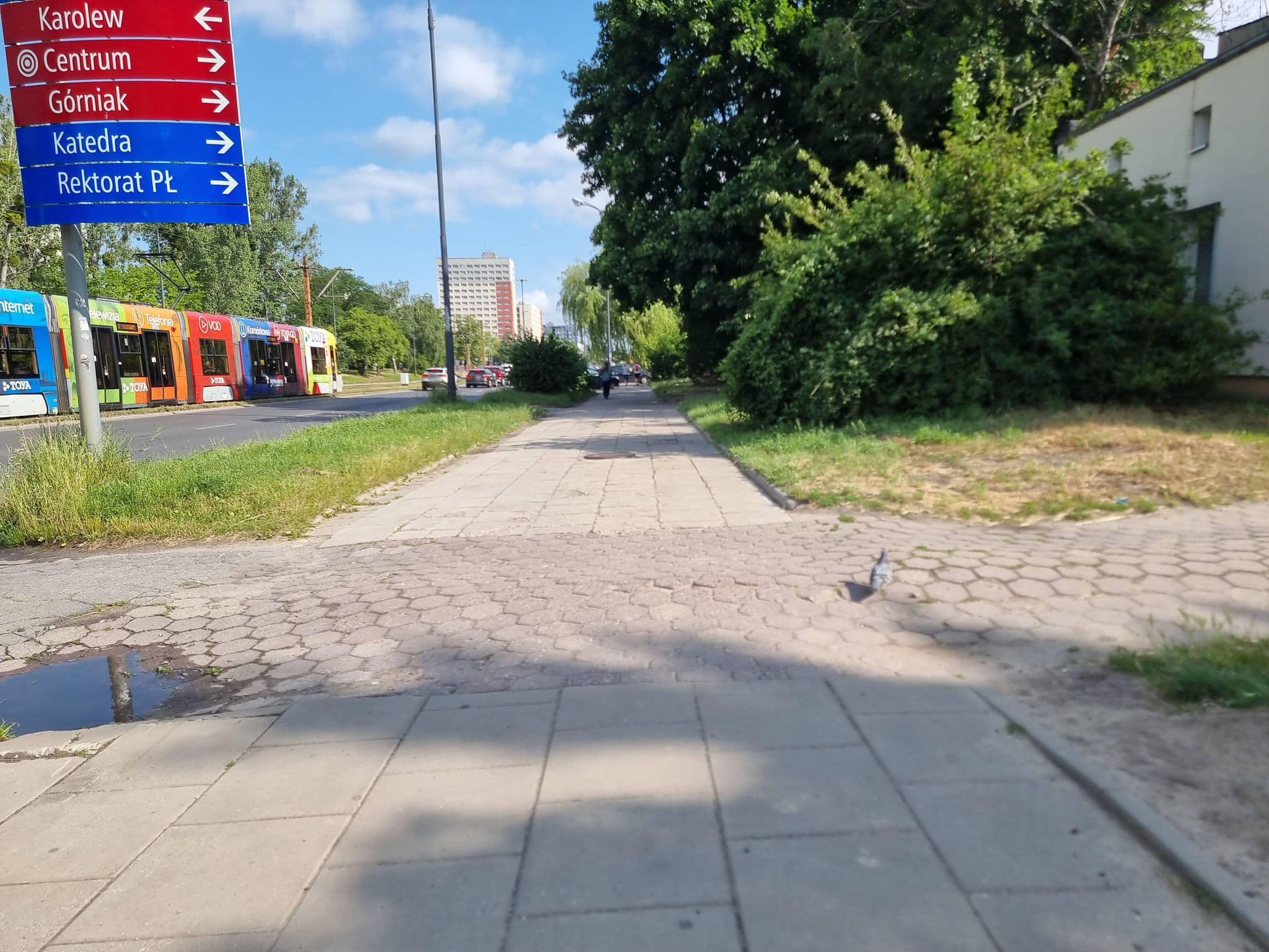 Street view near Wspólnota Mieszkaniowa al. Politechniki 30, Łódź — © bartb (CC BY-SA · Mapillary)