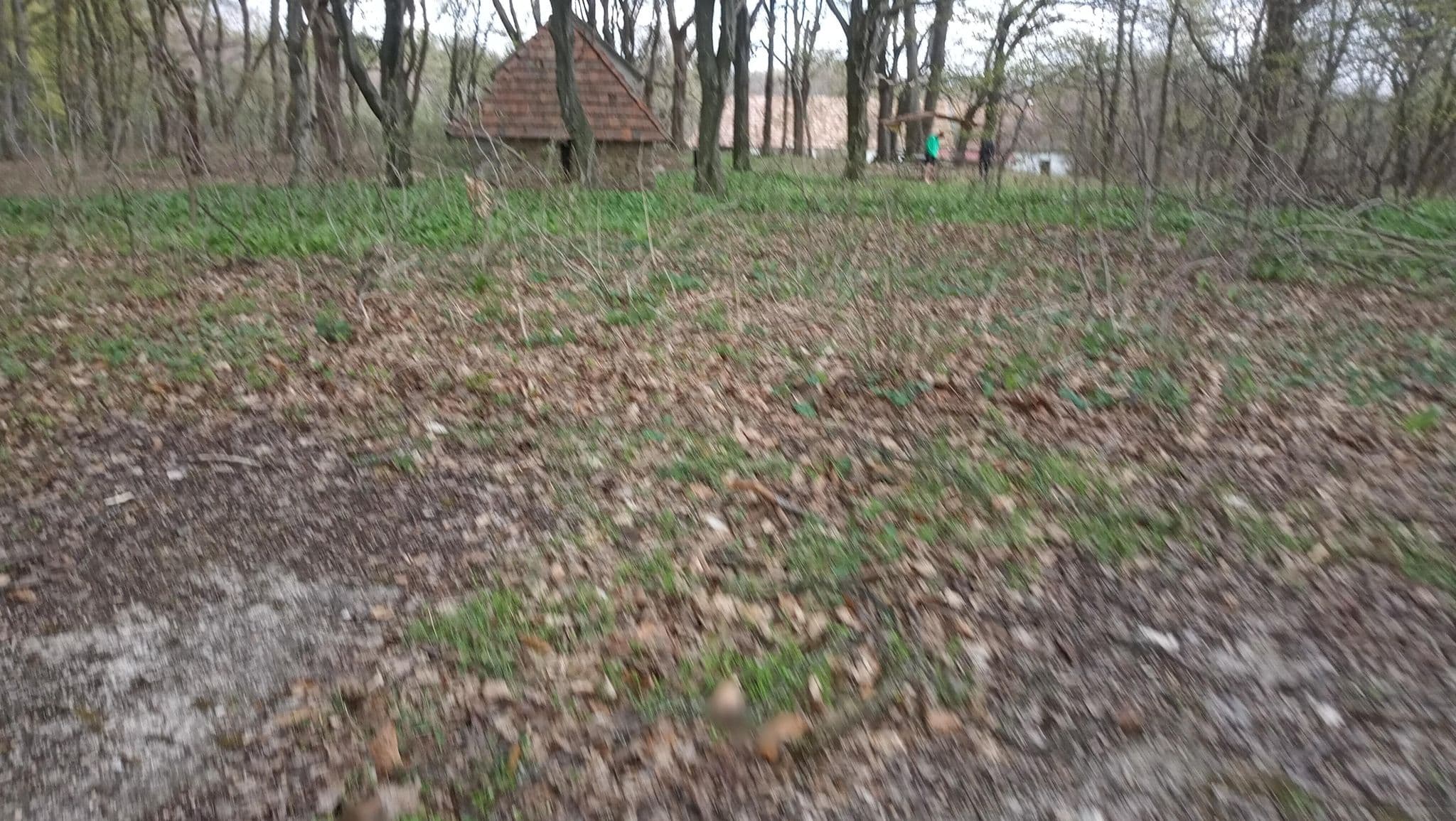 Street view near Ráktanya, Herend — © grozsa11 (CC BY-SA · Mapillary)