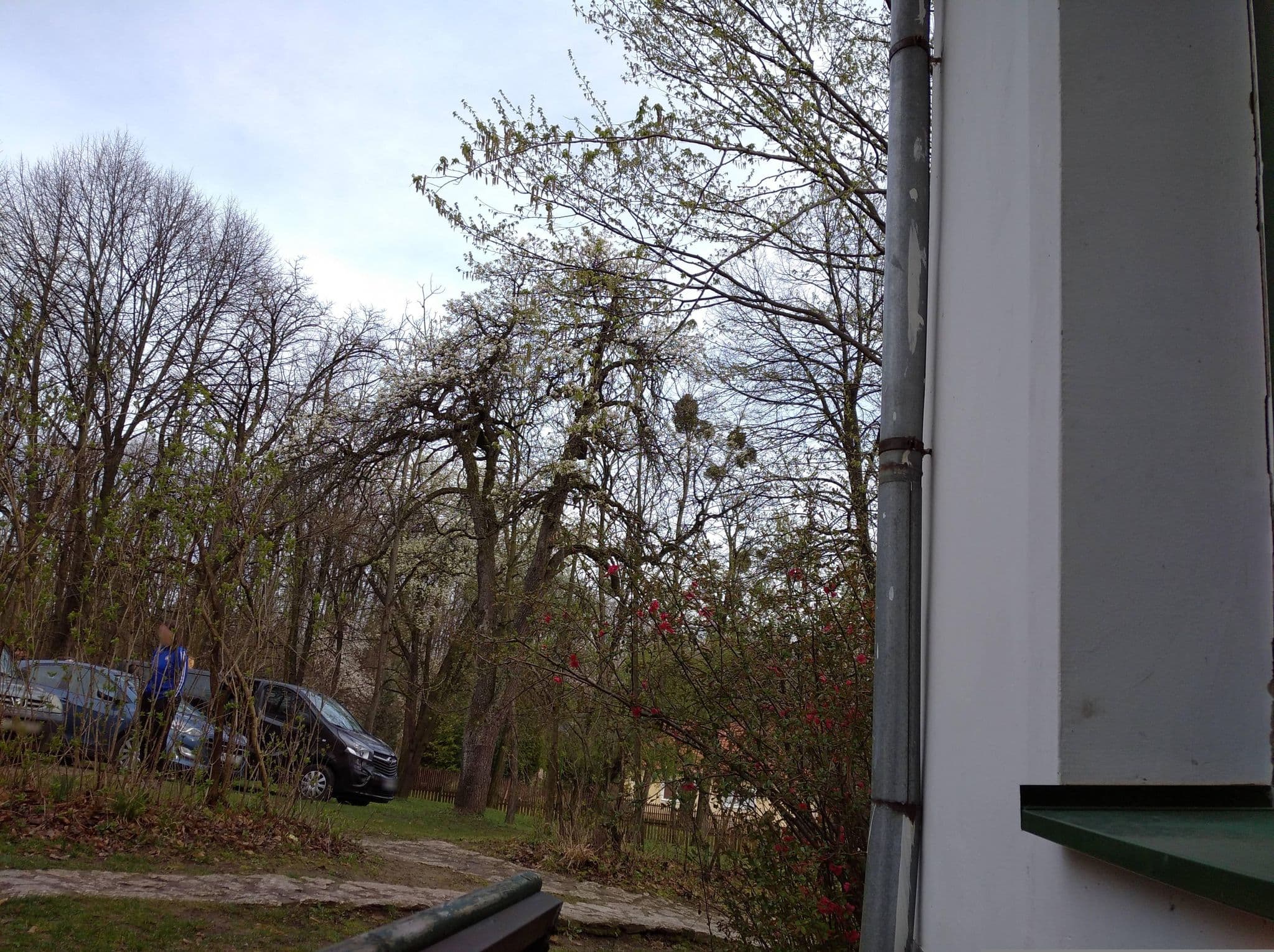 Street view near Öregbakony Turistaház és Erdei Iskola, Bakonyszentlászló — © grozsa11 (CC BY-SA · Mapillary)