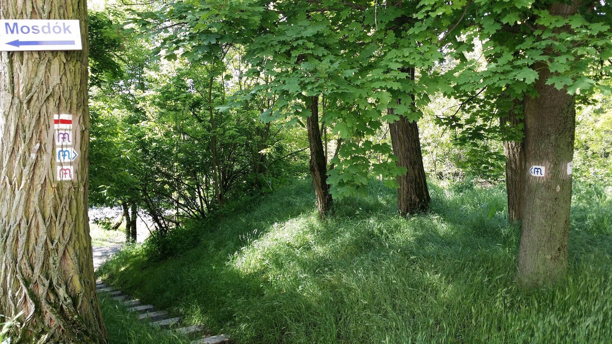 Street view near Mater Salvatoris Lelkigyakorlatos Ház és Konferencia-központ, Gödöllő — © utvonalfelmeresek (CC BY-SA · Mapillary)