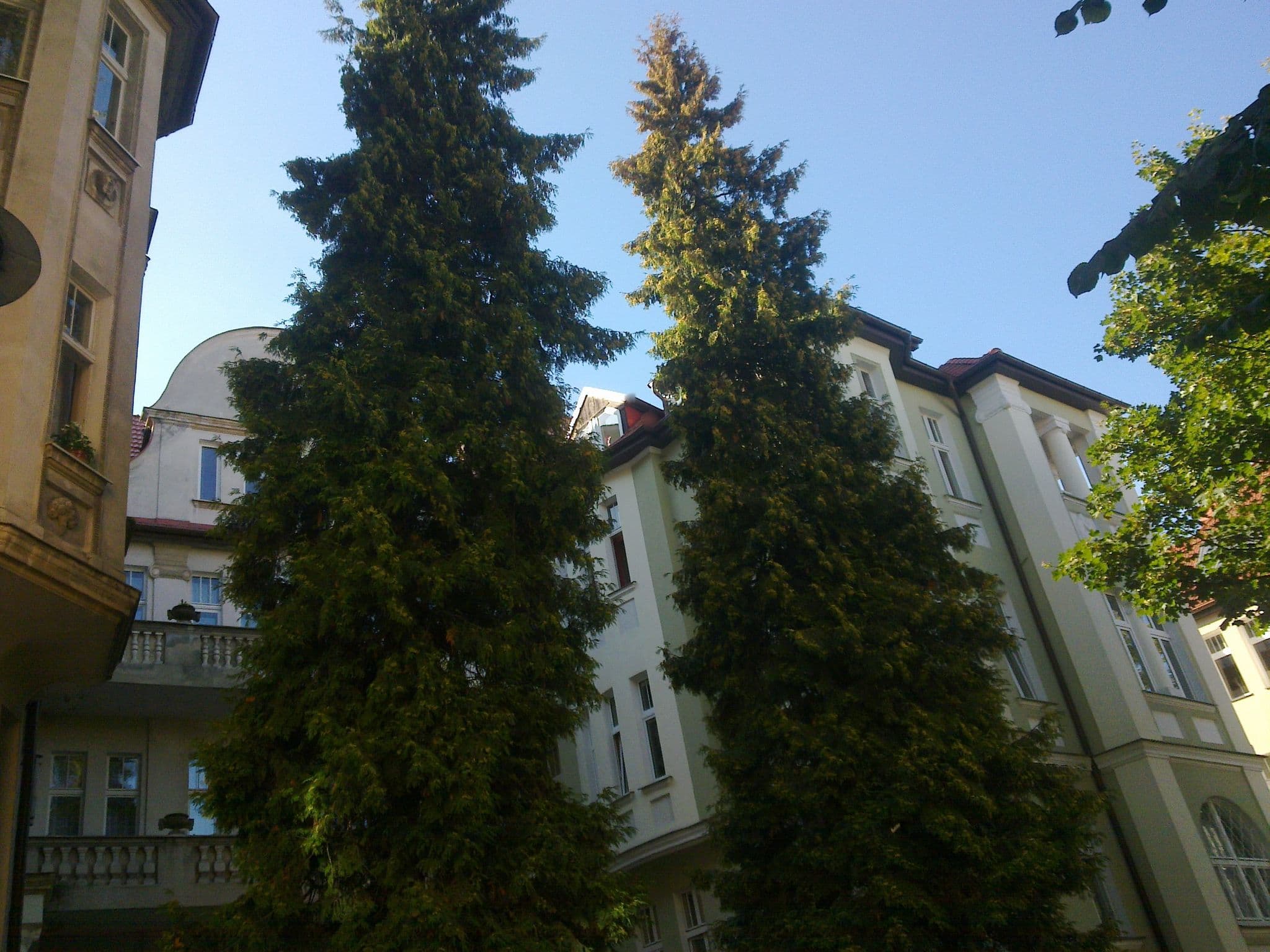 Street view near Top Apartamenty - Apartament Cappuccino, Sopot — © racibo (CC BY-SA · Mapillary)