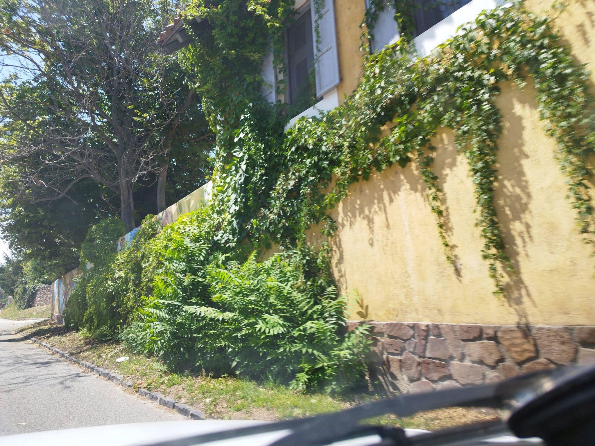 Street view near Fügekert - Bed&Wine, Zánka — © grozsa11 (CC BY-SA · Mapillary)