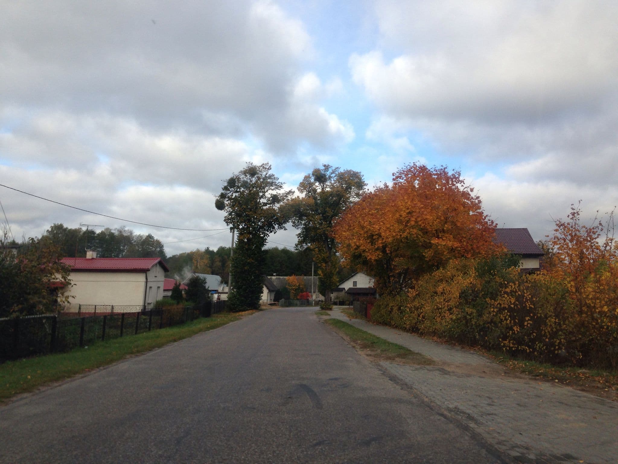 Street view near Nowaczyk Jolanta, Górzno — © fundacja_geolife (CC BY-SA · Mapillary)