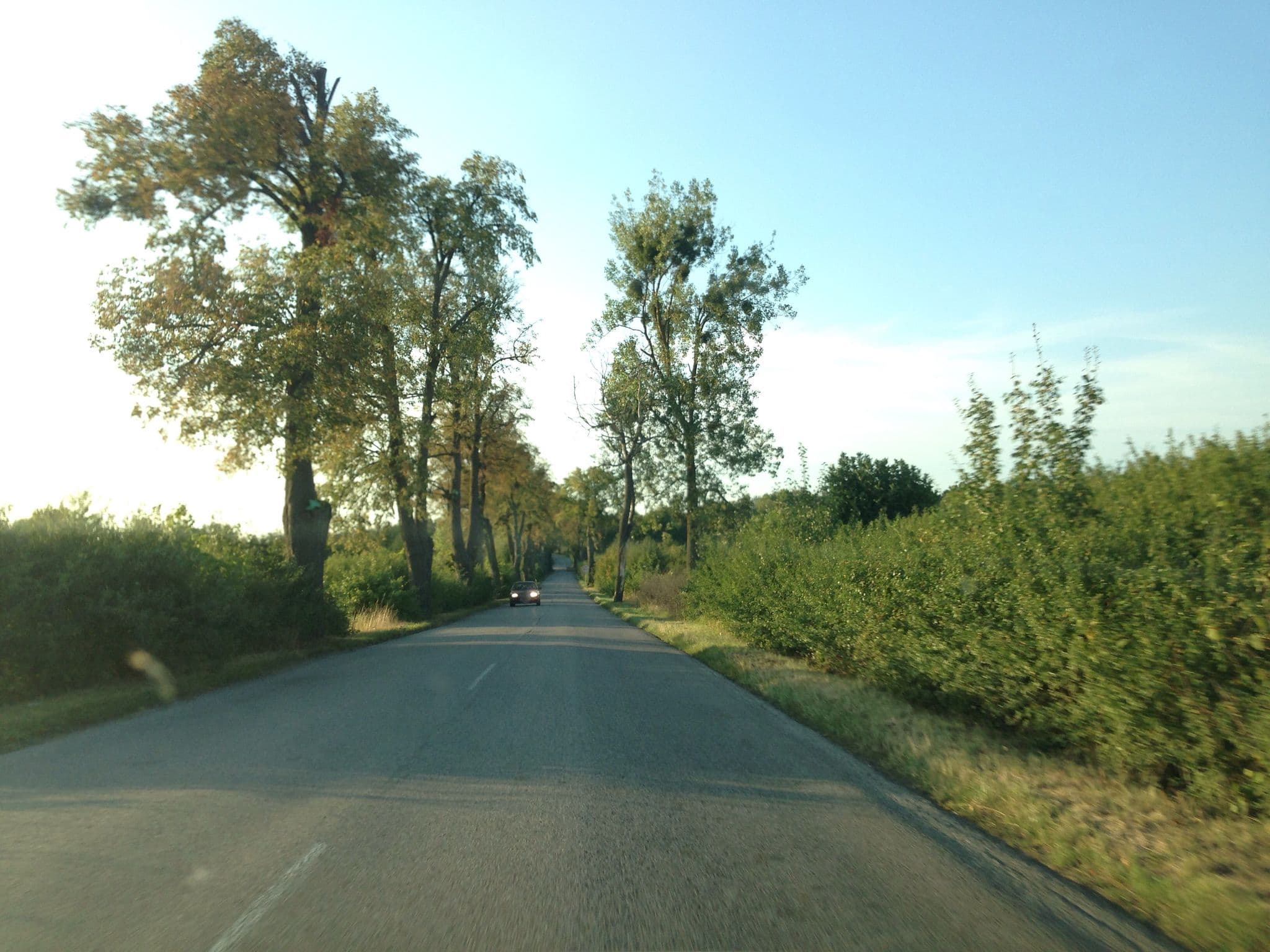 Street view near Agroturystyka K. Nazarewicz, Dzierzgoń — © fundacja_geolife (CC BY-SA · Mapillary)