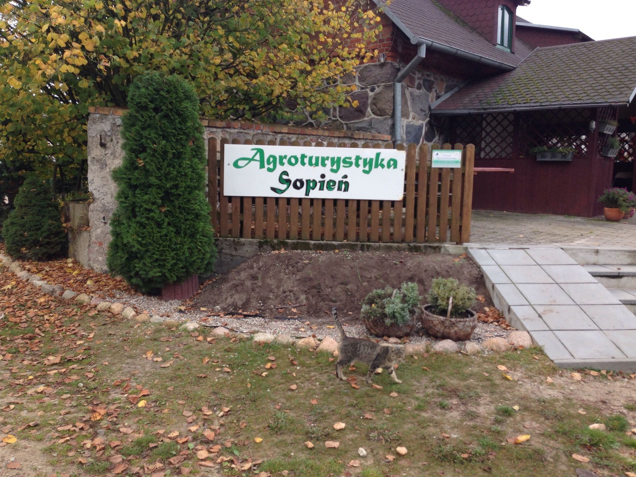 Street view near Agroturystyka nad jeziorem Sopień, Brzozie — © fundacja_geolife (CC BY-SA · Mapillary)