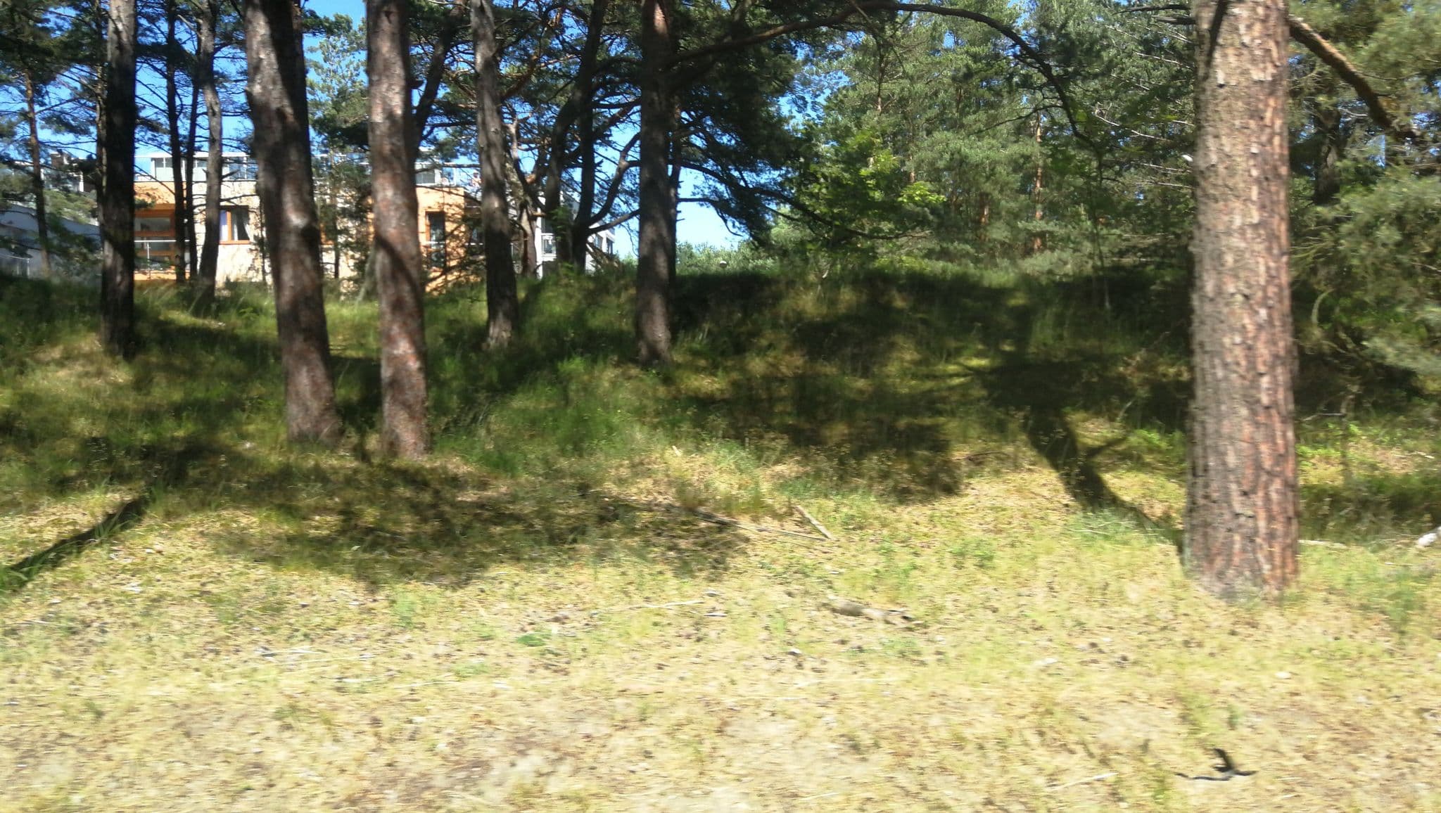 Street view near AgaApart Jurata, Jastarnia — © lihalla (CC BY-SA · Mapillary)