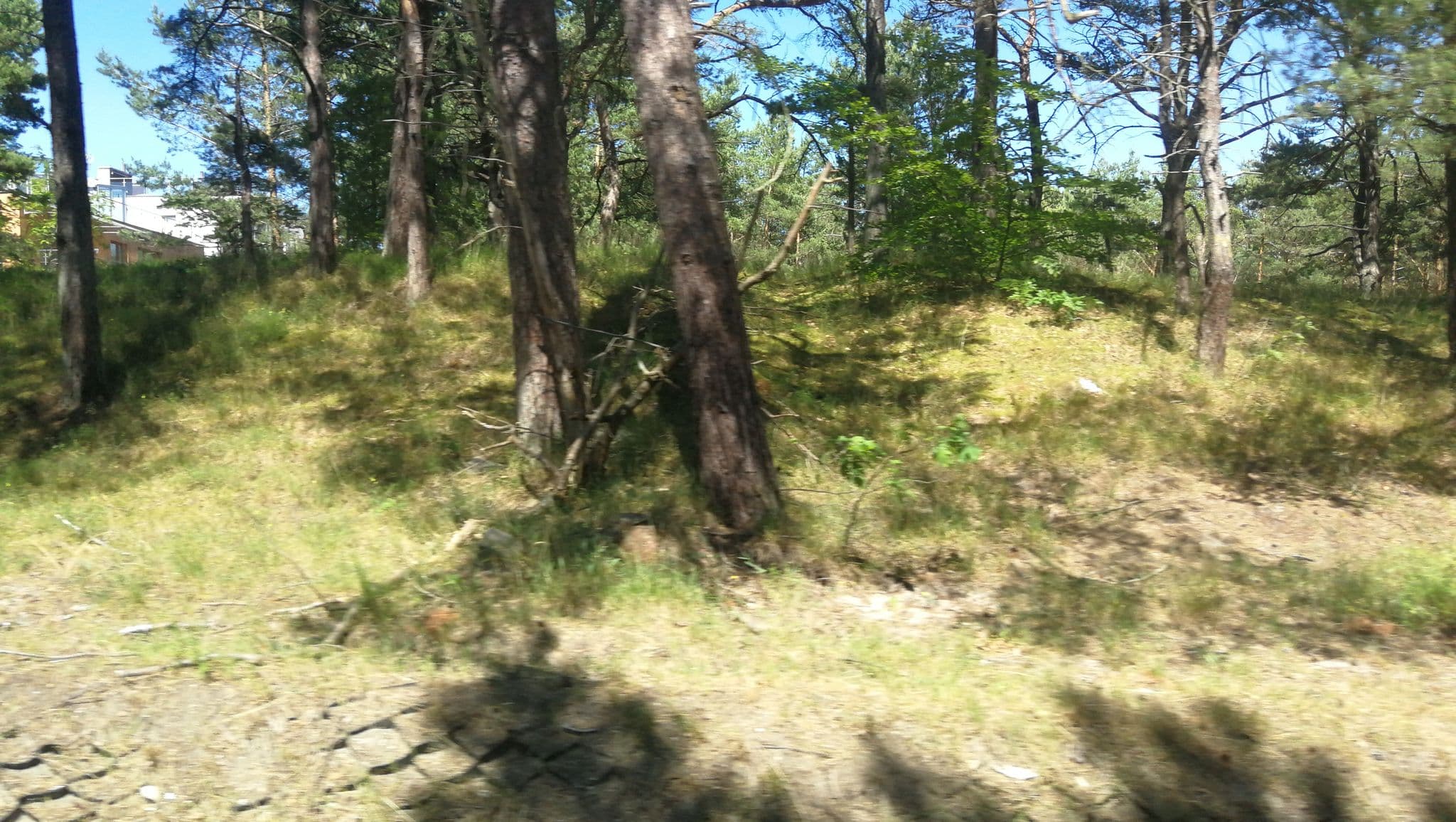 Street view near Apartamenty Sunbaltic Jurata, Jastarnia — © lihalla (CC BY-SA · Mapillary)