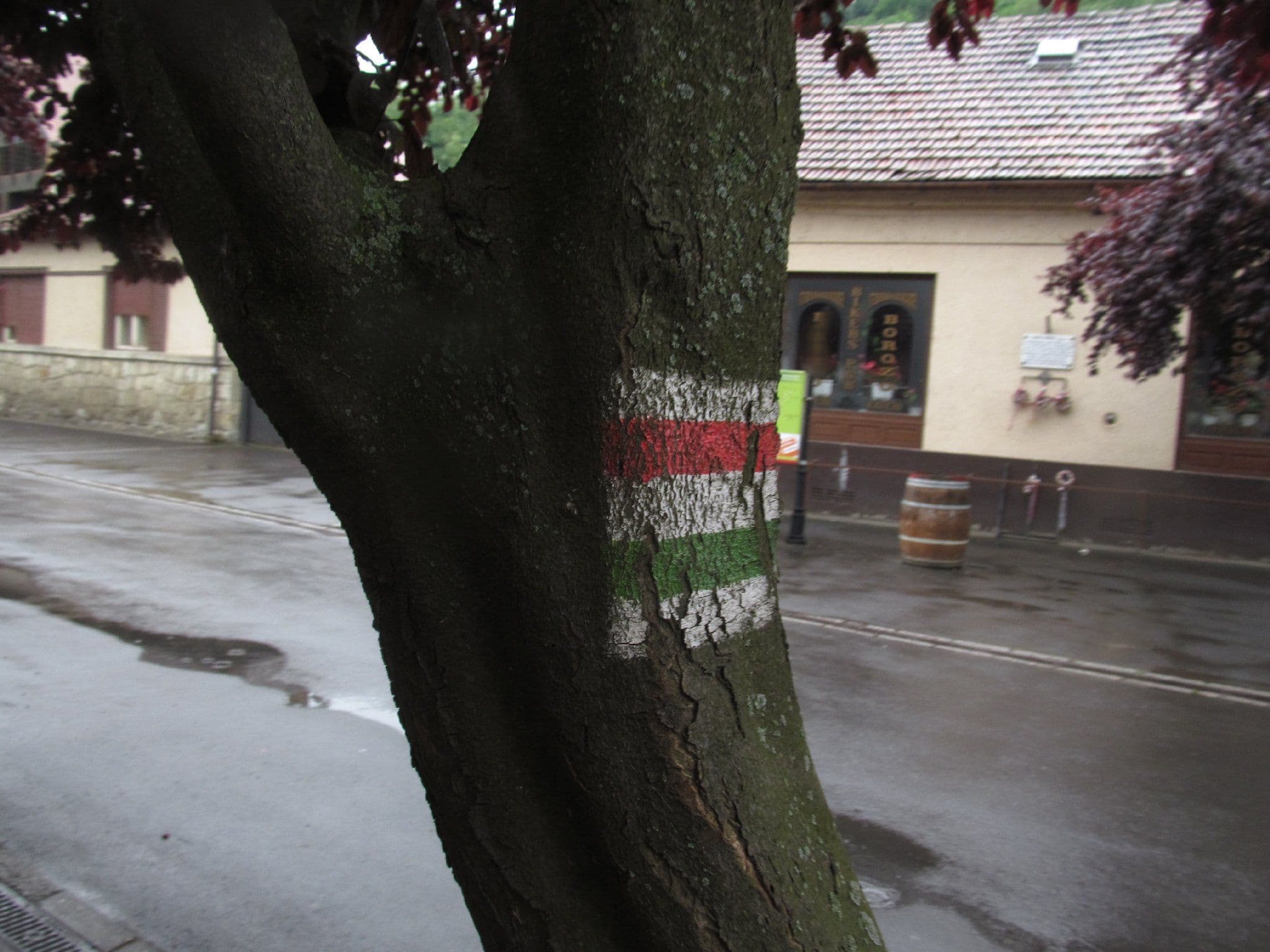 Street view near Toldi Fogadó, Tokaj — © utvonalfelmeresek (CC BY-SA · Mapillary)