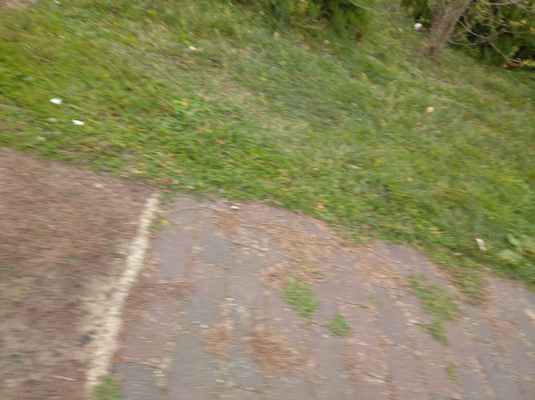 Street view near Márianosztrai Fogadóépület és Szálláshely, Szob — © grozsa11 (CC BY-SA · Mapillary)