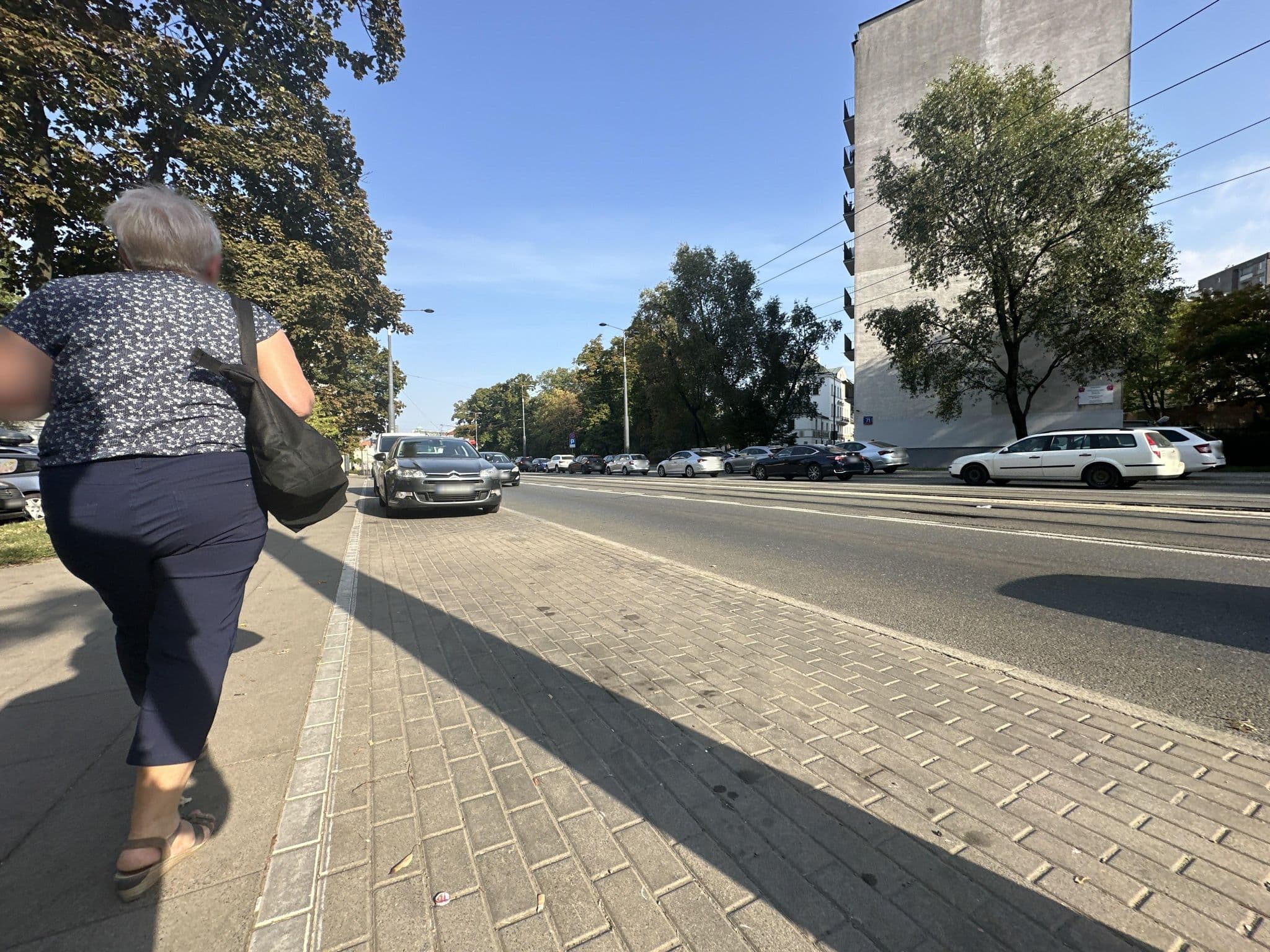 Street view near Apartamenty Senator, Warsaw — © quickness805 (CC BY-SA · Mapillary)