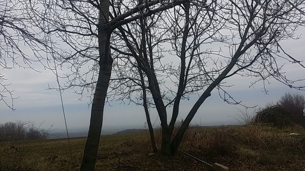 Street view near Csendliget vendéghaz, Pécsvárad — © utvonalfelmeresek (CC BY-SA · Mapillary)
