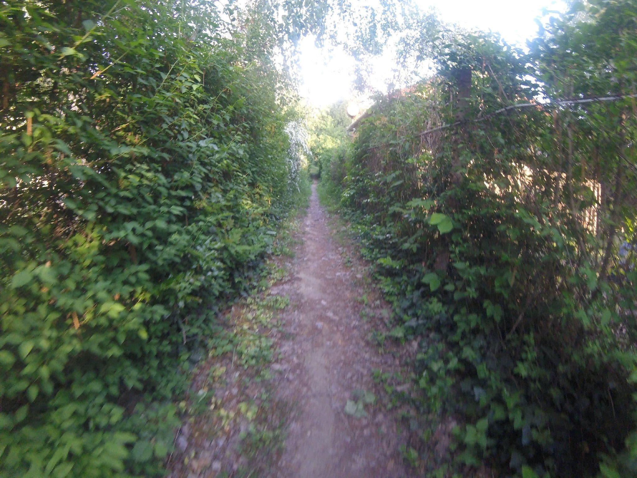 Street view near Angyali házak, Ráckeve — © utvonalfelmeresek (CC BY-SA · Mapillary)