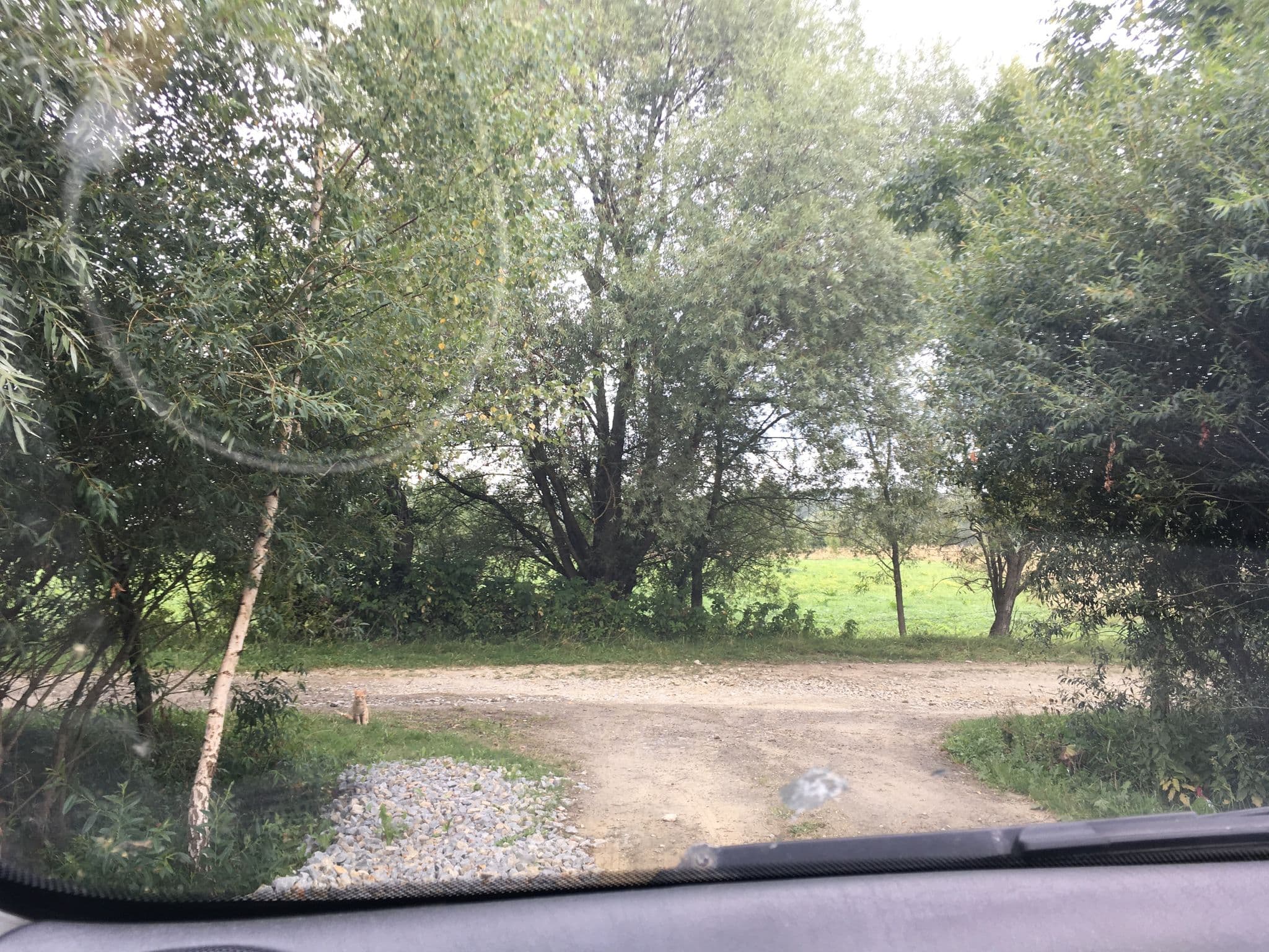 Street view near lipie 12a, Ustrzyki Dolne — © szurek (CC BY-SA · Mapillary)