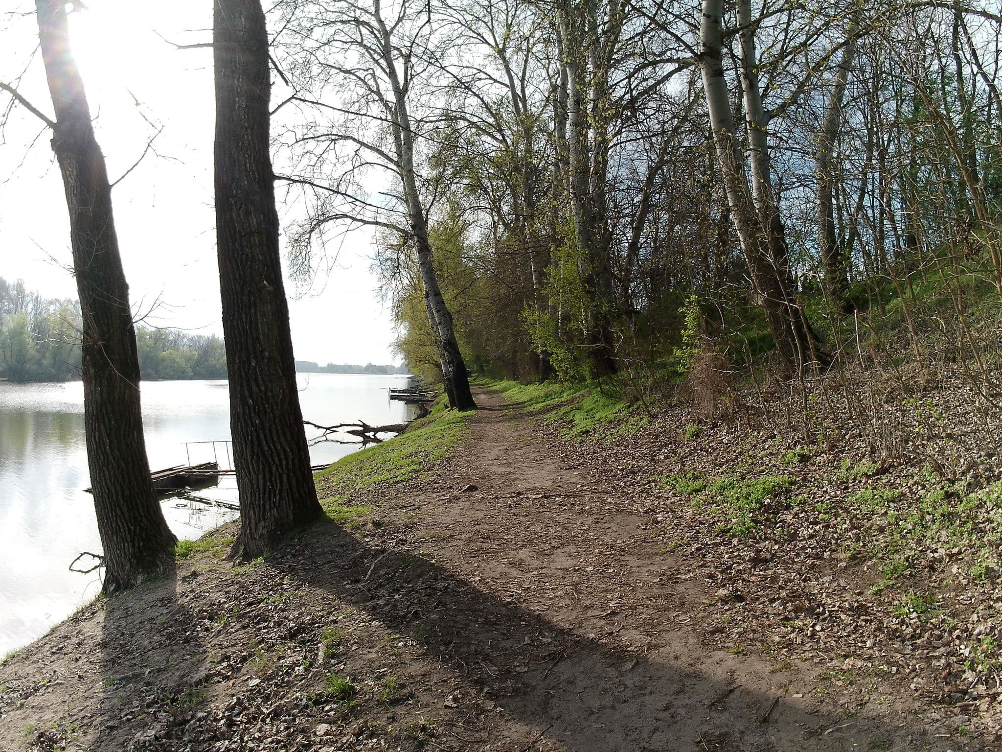 Street view near 4, Tiszaalpár — © konyves (CC BY-SA · Mapillary)