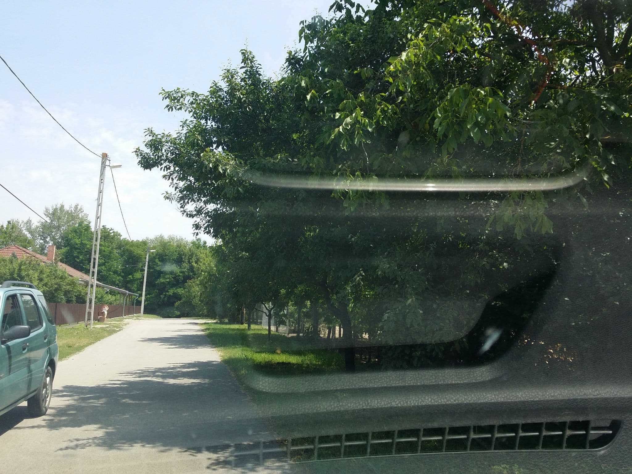 Street view near 5, Tiszaalpár — © utvonalfelmeresek (CC BY-SA · Mapillary)
