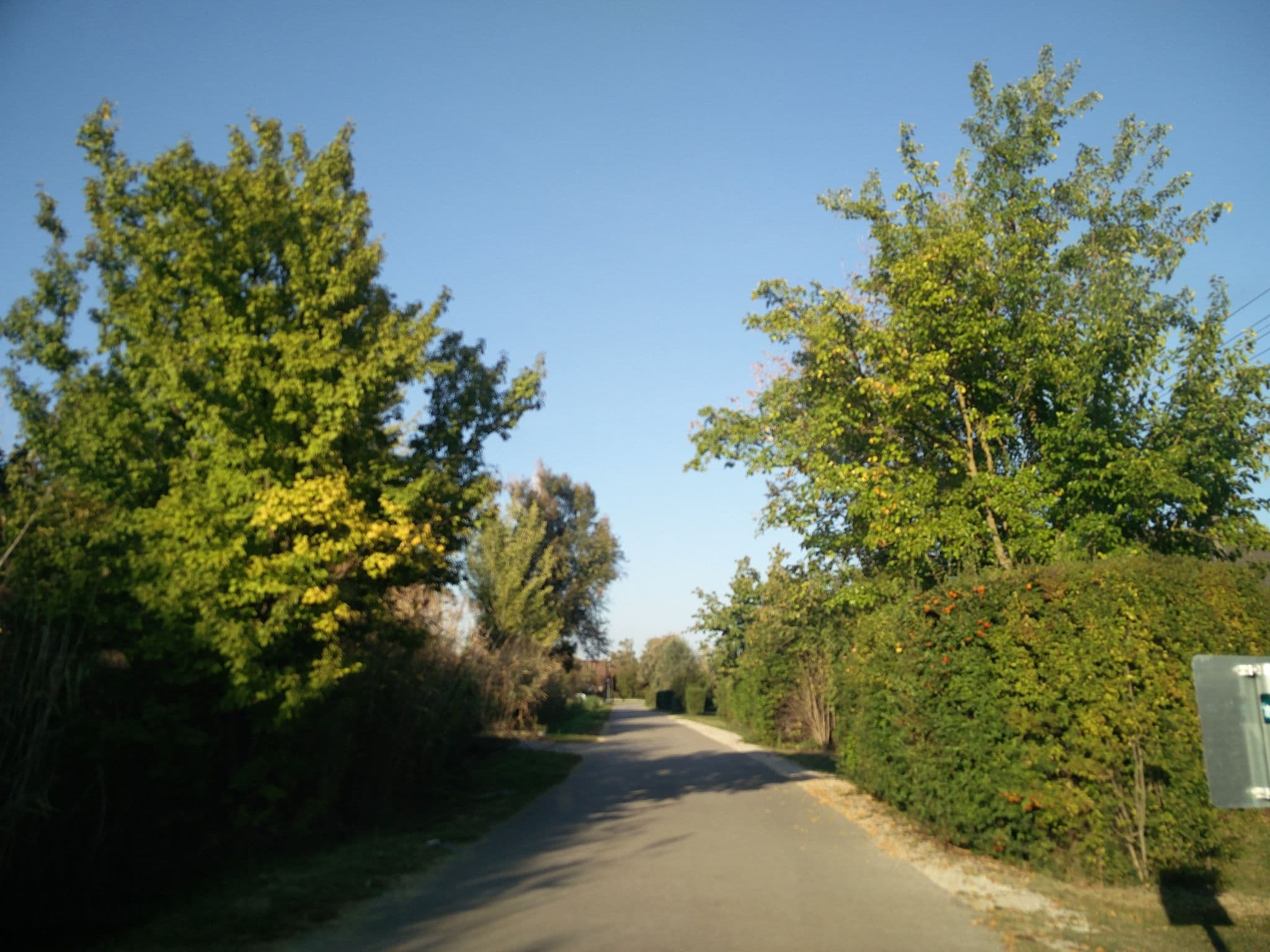 Street view near Velence Club Camping, Gárdony — © kami911 (CC BY-SA · Mapillary)