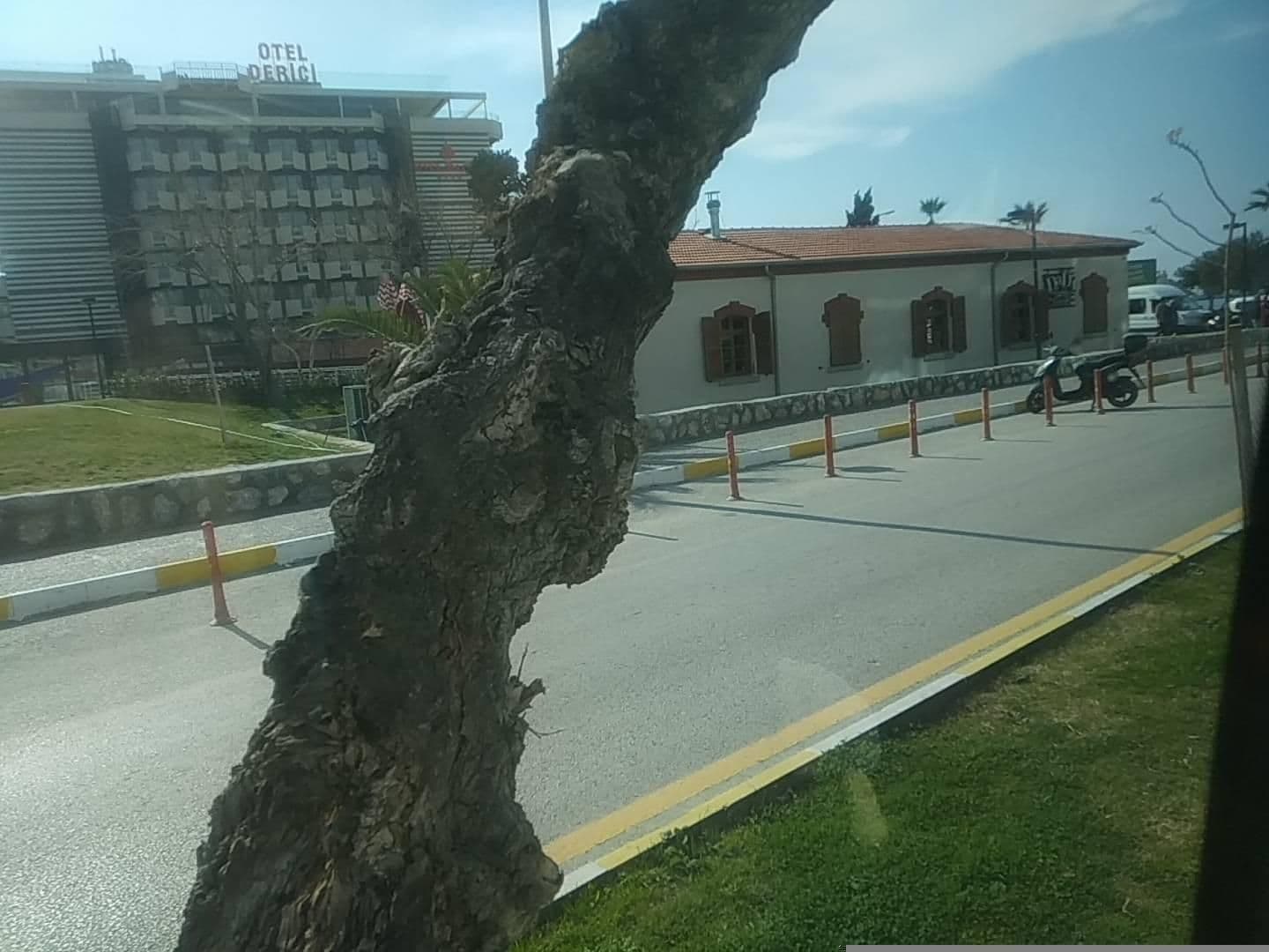 Street view near Ilayda Hotel, Kuşadası — © amasya05055 (CC BY-SA · Mapillary)