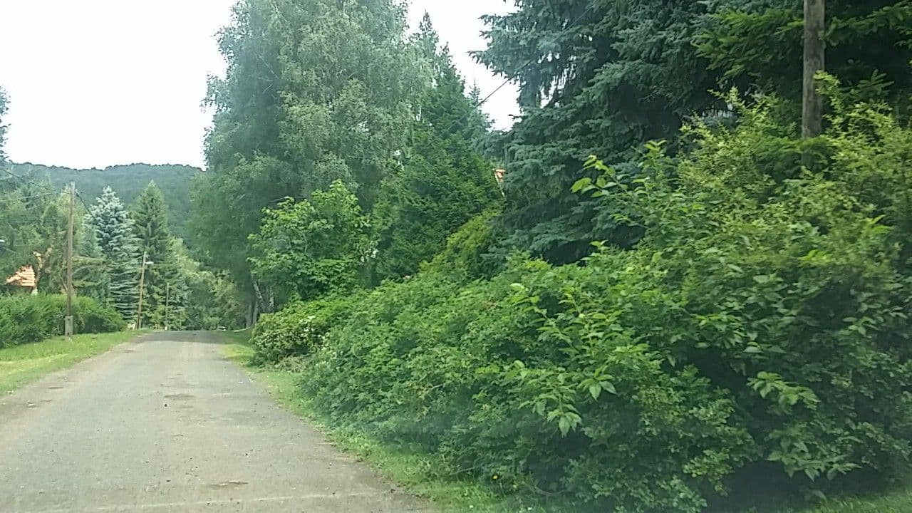 Street view near HoldViola Vendégház, Bátonyterenye — © utvonalfelmeresek (CC BY-SA · Mapillary)