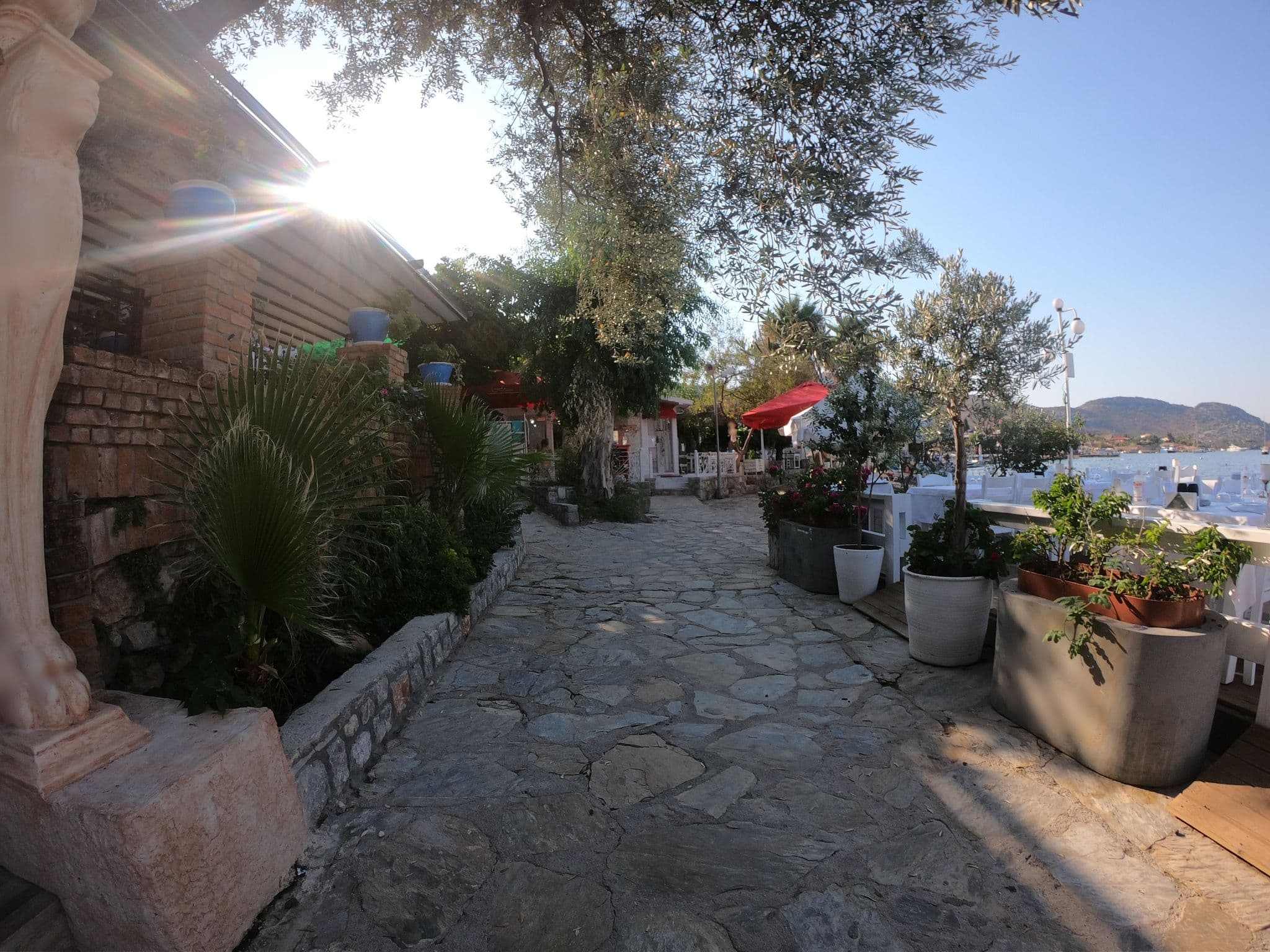 Street view near Sardunya Otel, Selimiye — © asturksever (CC BY-SA · Mapillary)