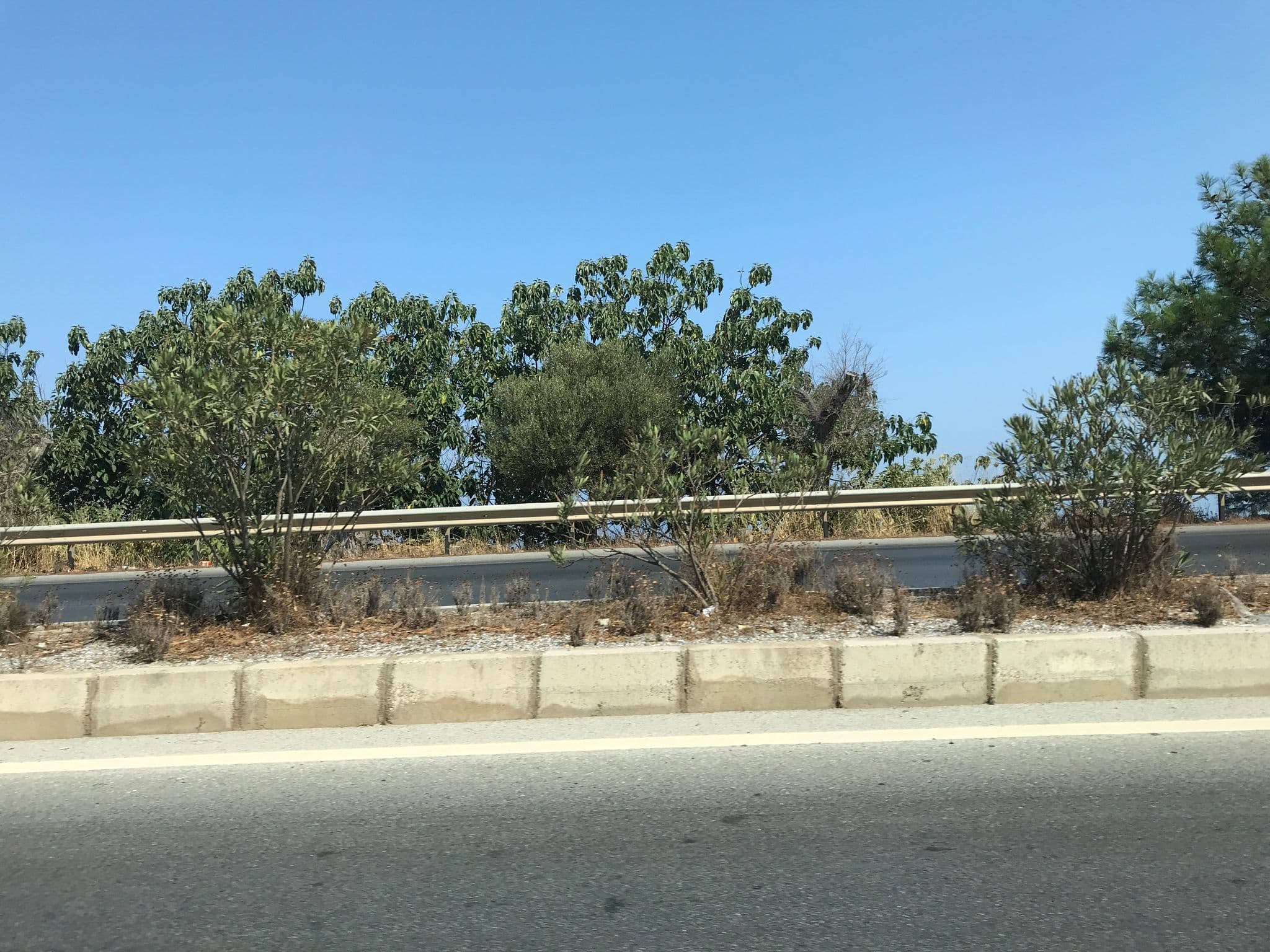 Street view near The Detox Bay Wellbeing Retreat, Bodrum — © hderinoz (CC BY-SA · Mapillary)