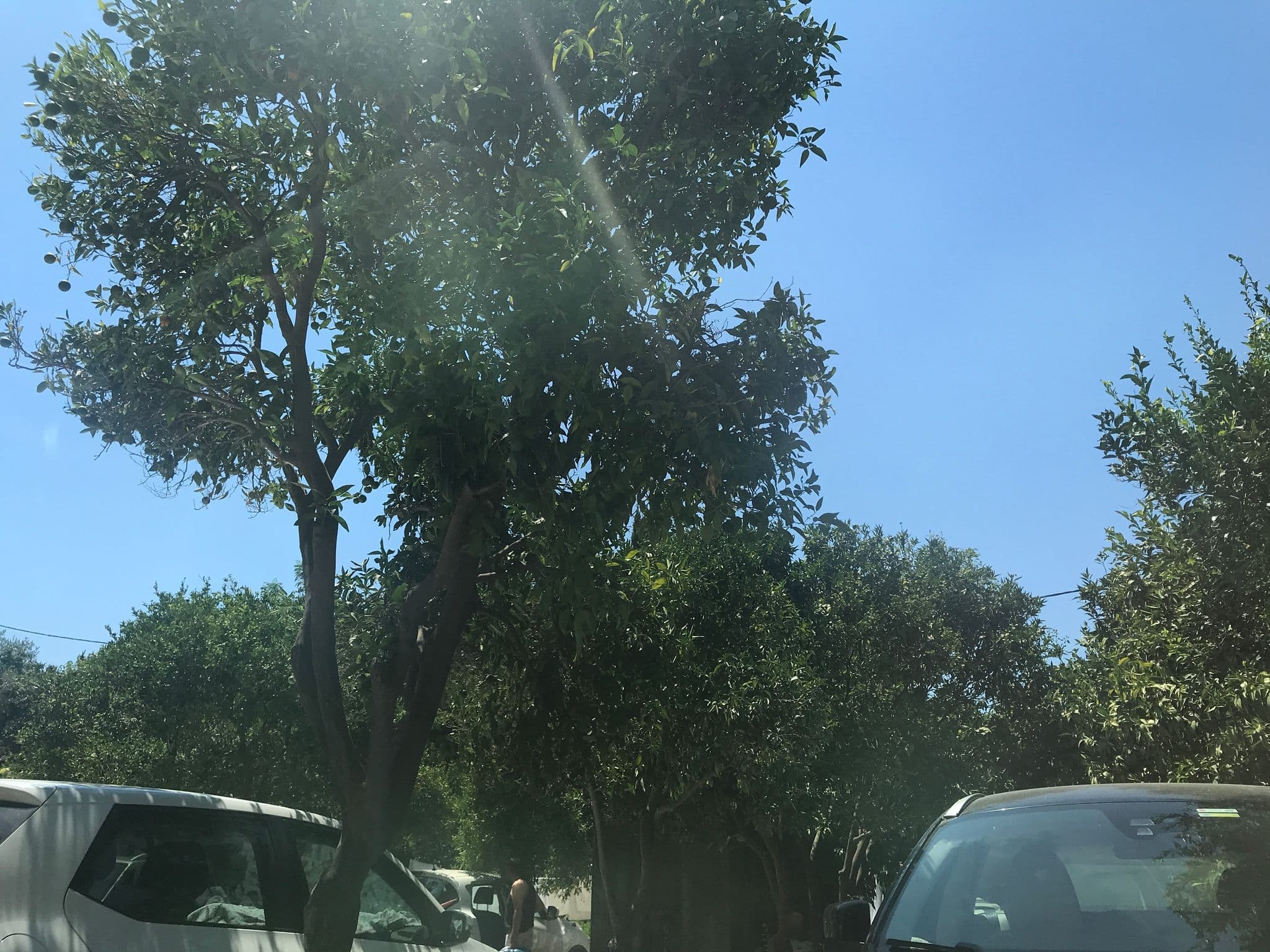 Street view near İnce Yalı Pansiyon, Güvercinlik — © hderinoz (CC BY-SA · Mapillary)