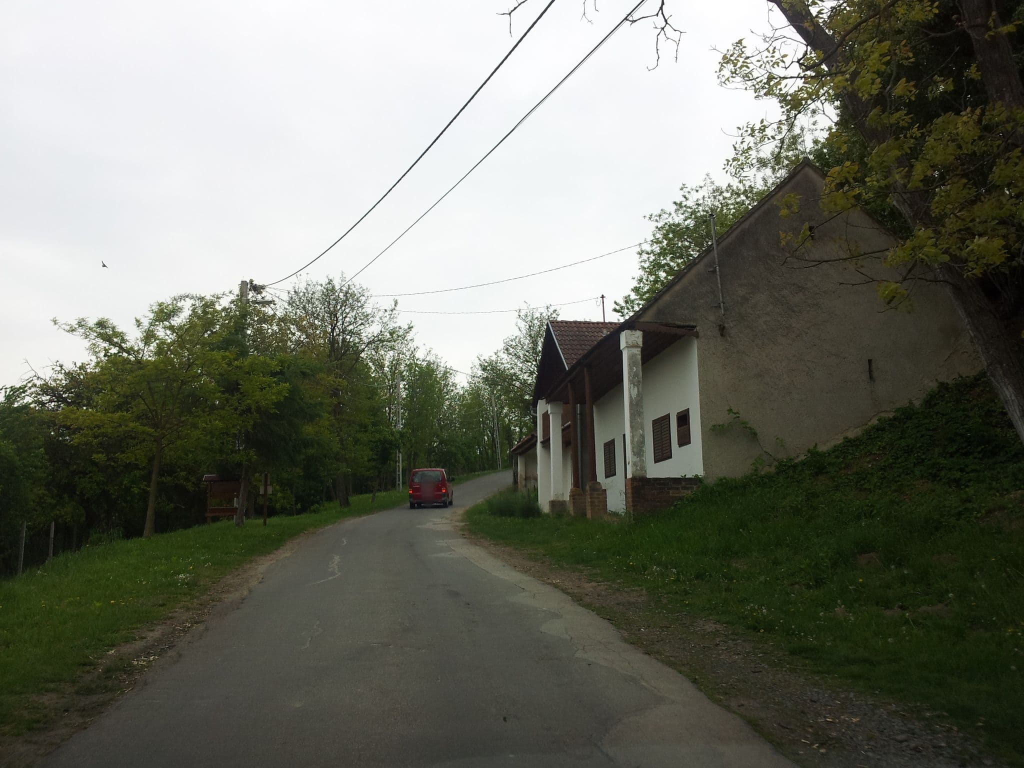 Street view near Menta porta, Pécsvárad — © kolesajr (CC BY-SA · Mapillary)