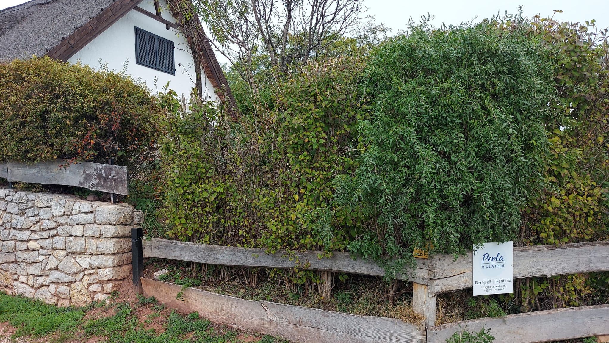 Street view near Perla Balaton, Csopak — © vasony (CC BY-SA · Mapillary)