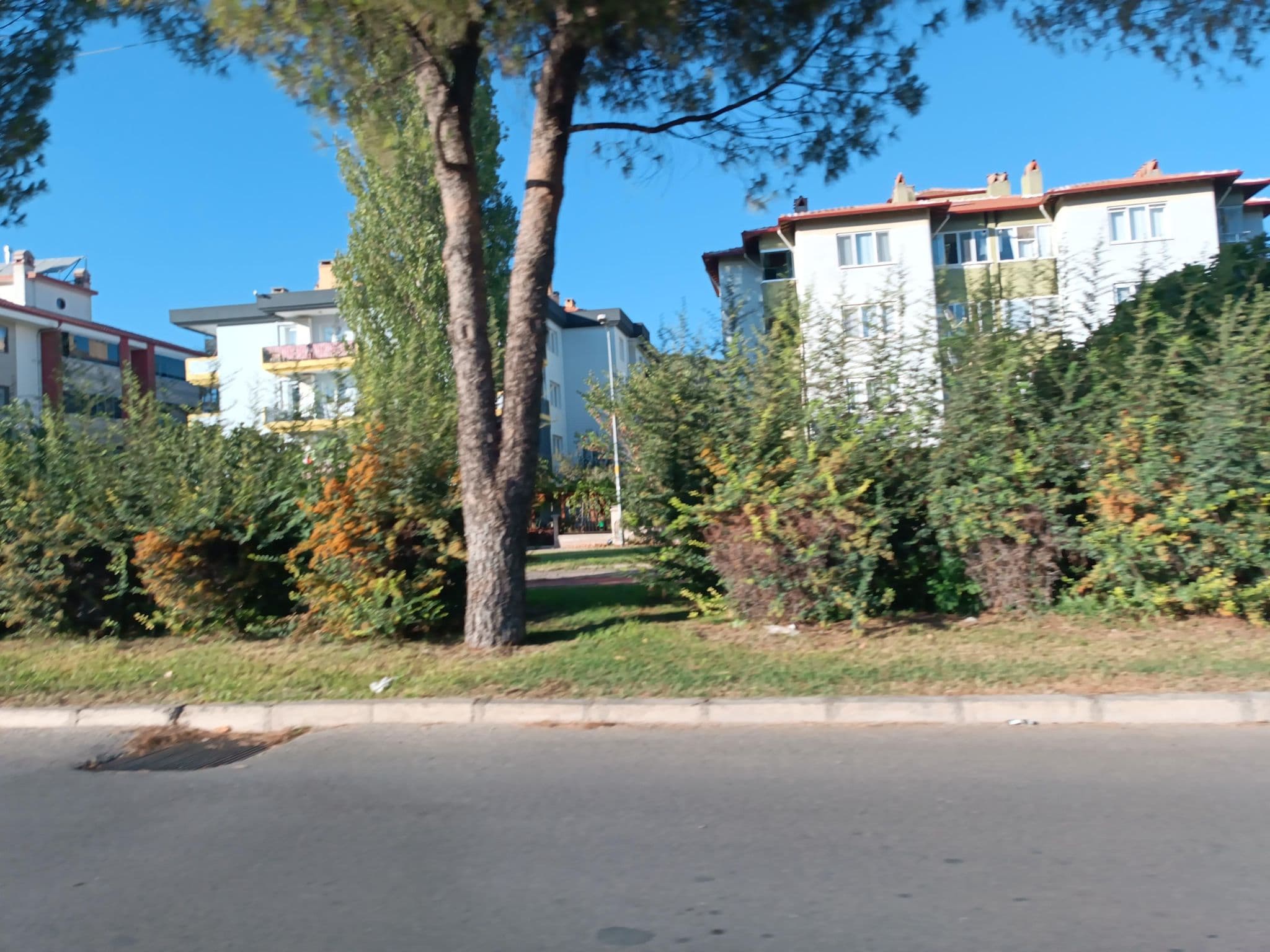 Street view near Girdev Yaylası, Muğla — © ktahyam-Mapping (CC BY-SA · Mapillary)
