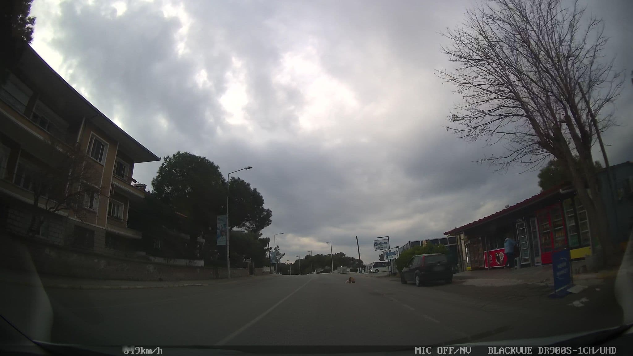 Street view near JinanBerk Otel, Ayvalık — © asturksever (CC BY-SA · Mapillary)
