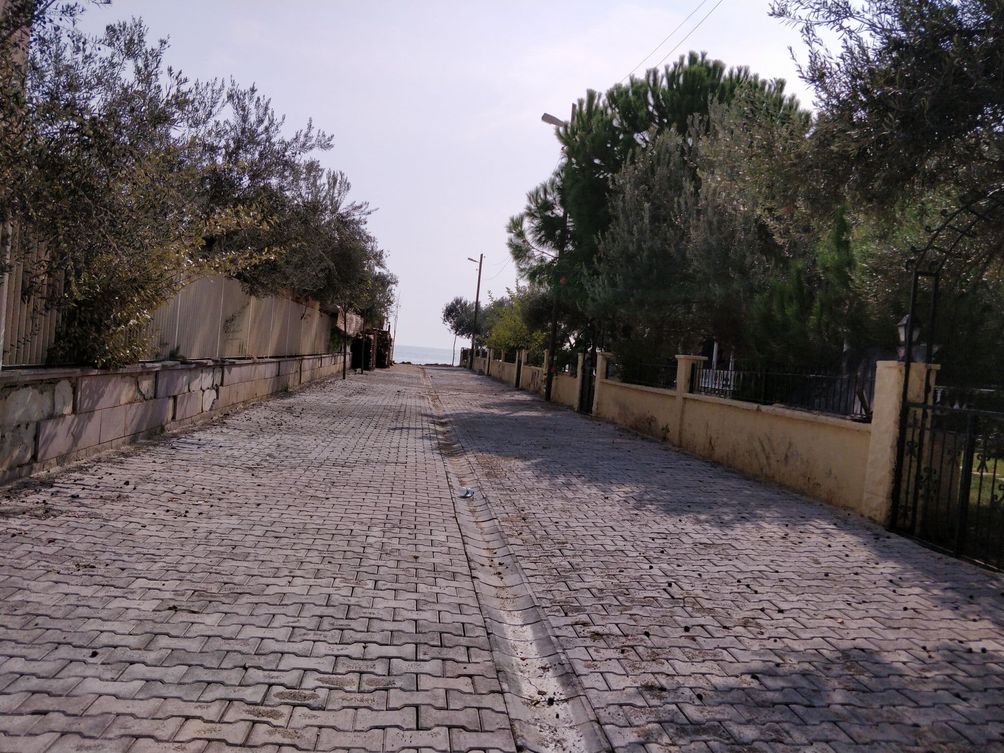 Street view near Esida Havuz, Altınoluk — © troels_arvin (CC BY-SA · Mapillary)