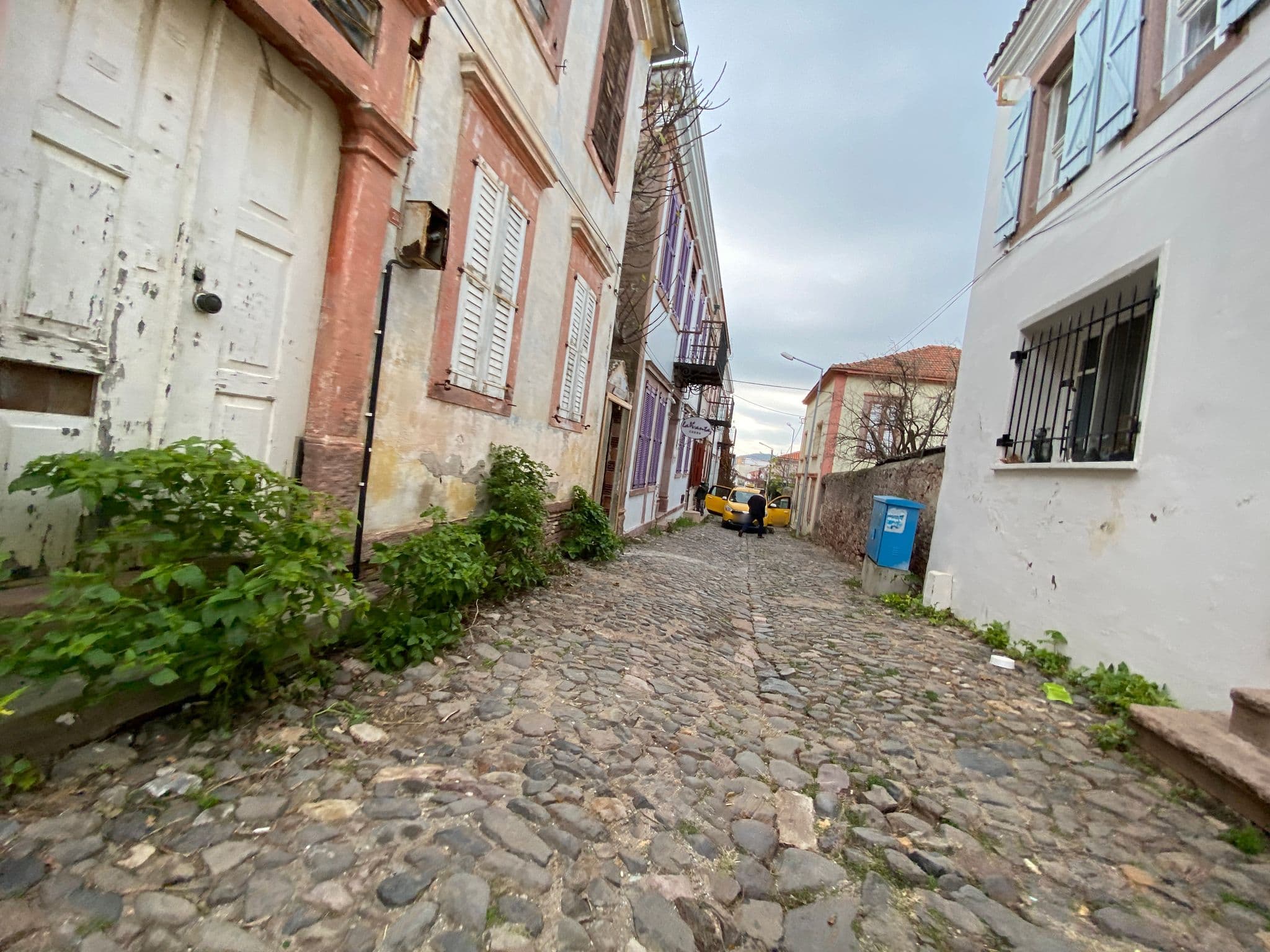 Street view near Lavanta Cunda, Ayvalık — © asturksever (CC BY-SA · Mapillary)