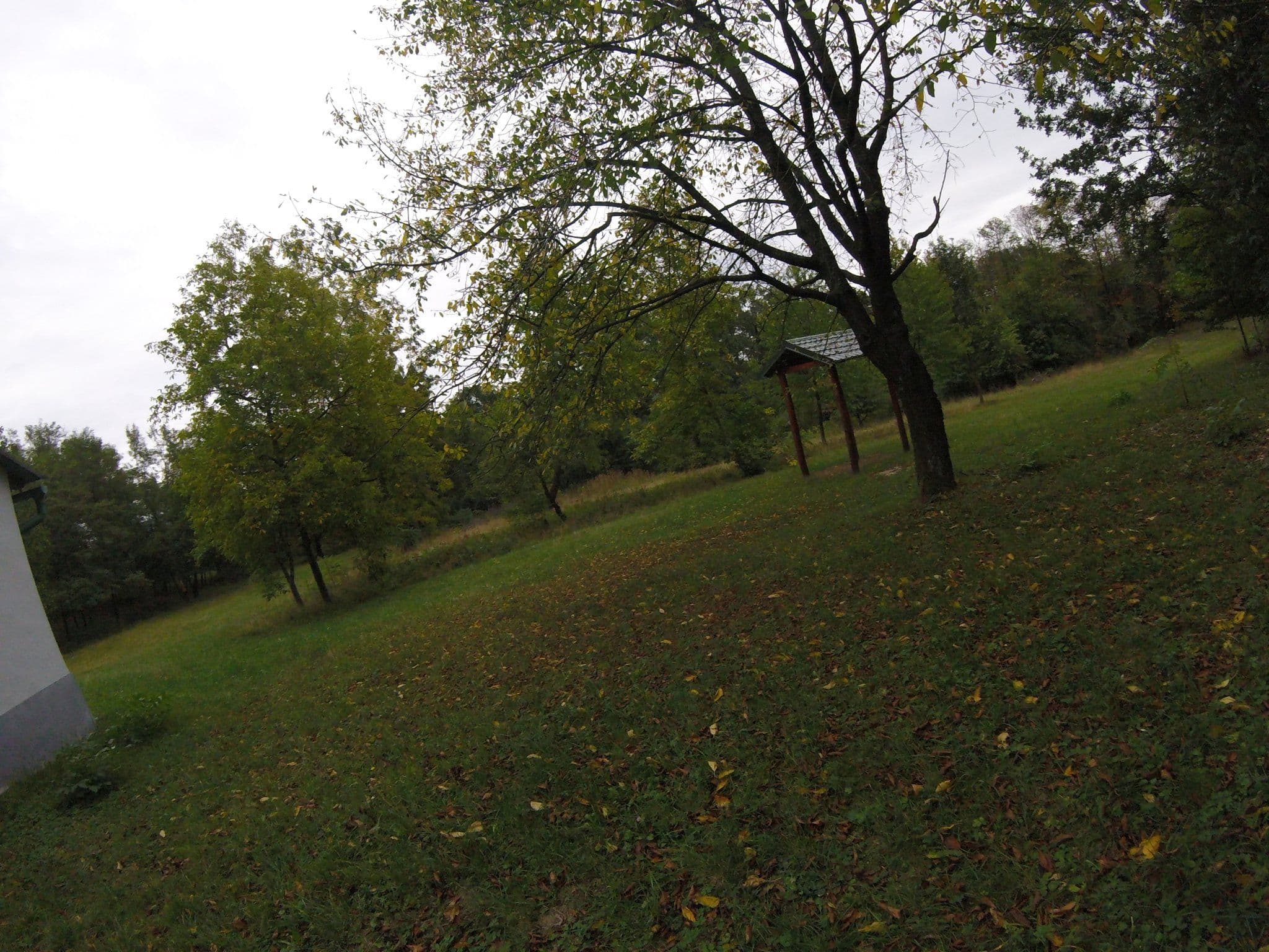 Street view near Chata Ipeľ, Szob — © utvonalfelmeresek (CC BY-SA · Mapillary)