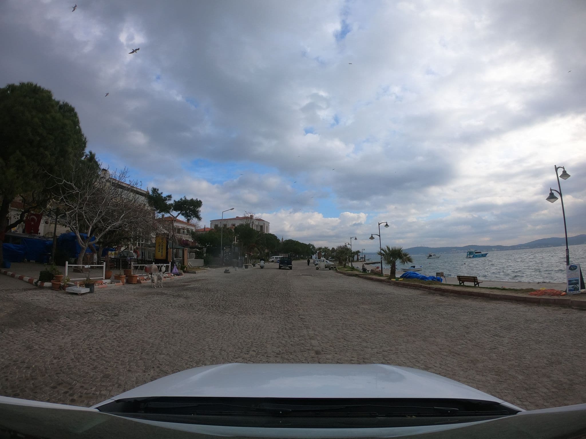Street view near fragrante hotel, Ayvalık — © asturksever (CC BY-SA · Mapillary)