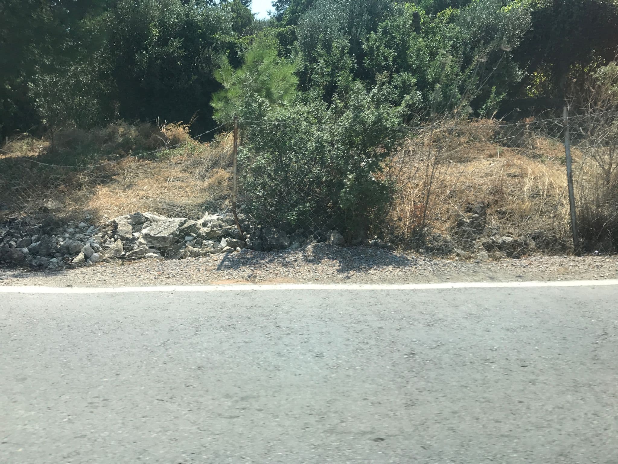 Street view near Riserva Urla, Kuşçular — © hderinoz (CC BY-SA · Mapillary)