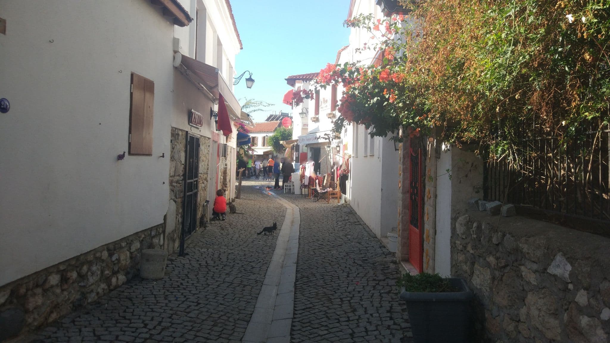 Street view near Dafni Butik Otel & Cafe, Seferihisar — © orkut (CC BY-SA · Mapillary)