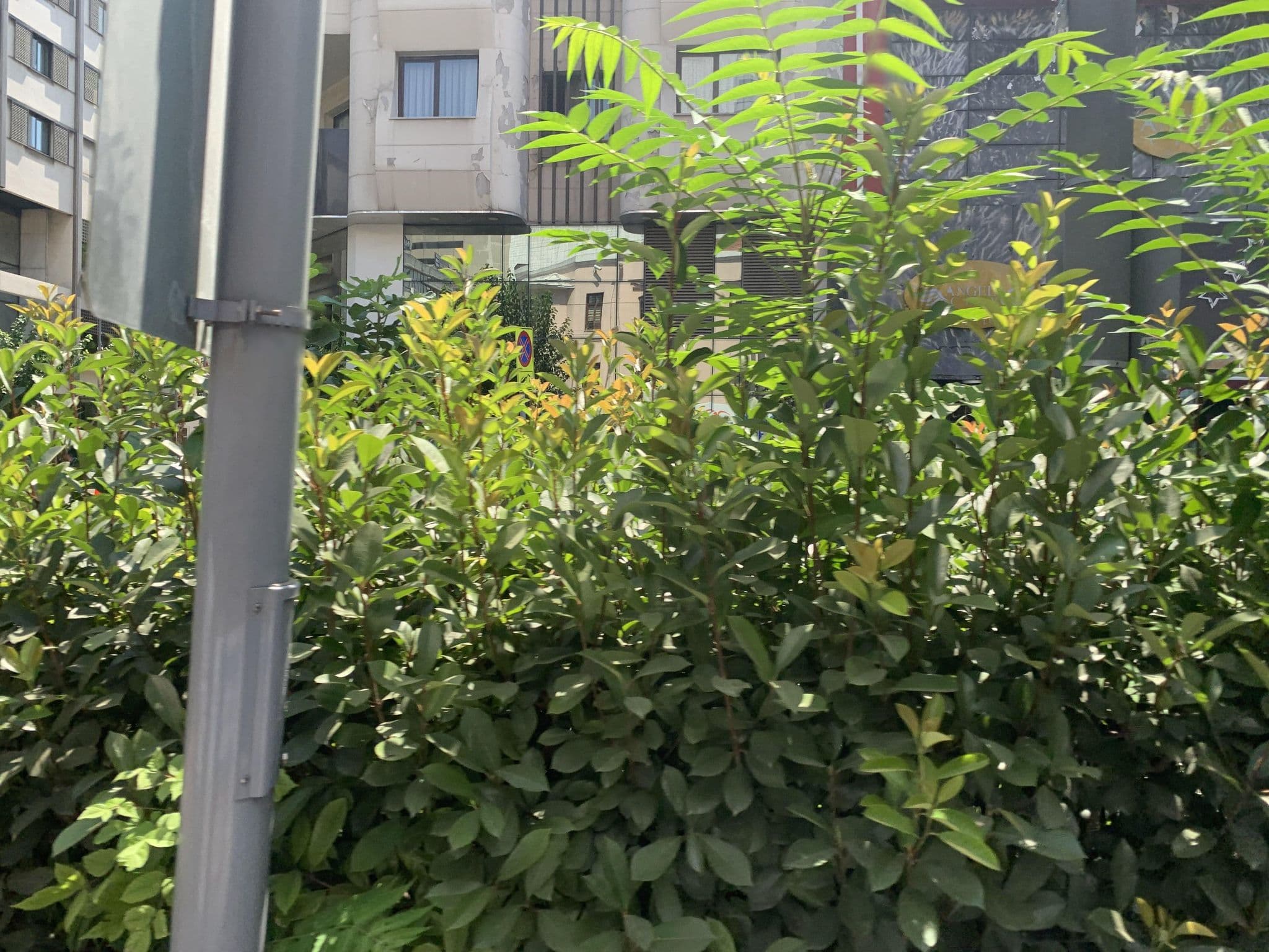 Street view near Otel Yumukoglu, İzmir — © robot8a (CC BY-SA · Mapillary)