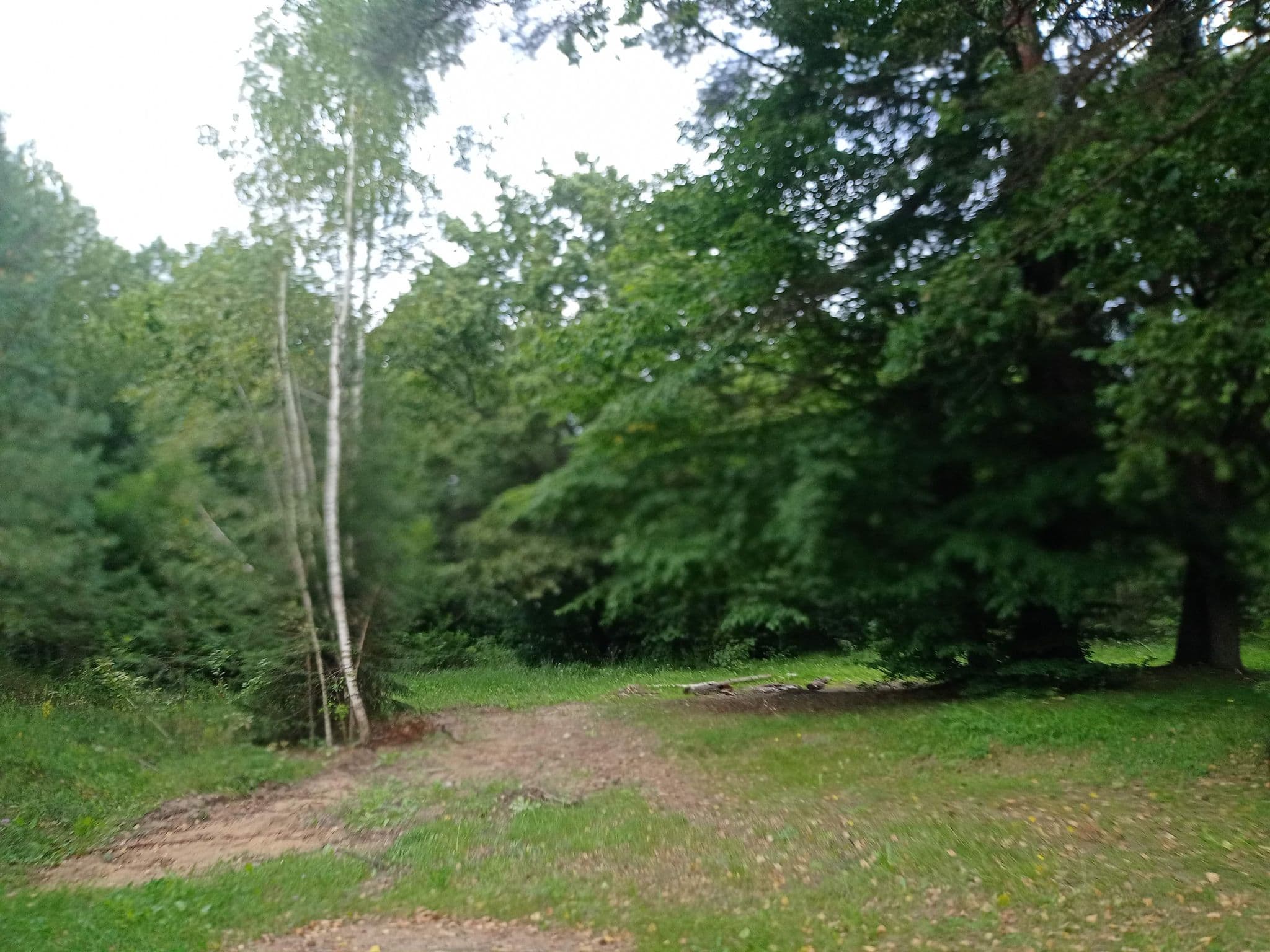 Street view near Camp site at Vir river, Bobruysk — © Vodevil (CC BY-SA · Mapillary)
