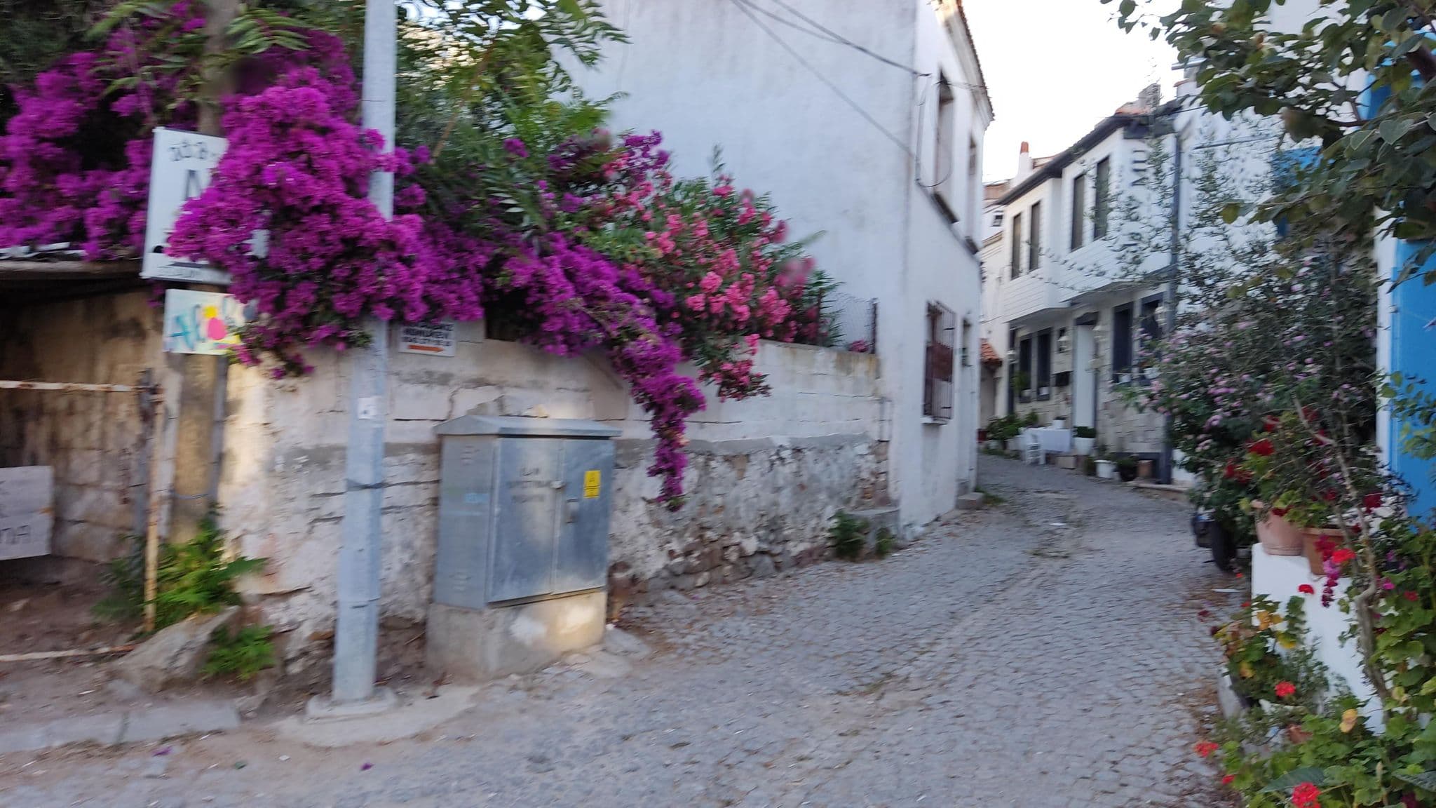 Street view near Bademlik Otel, Bozcaada — © orkut (CC BY-SA · Mapillary)