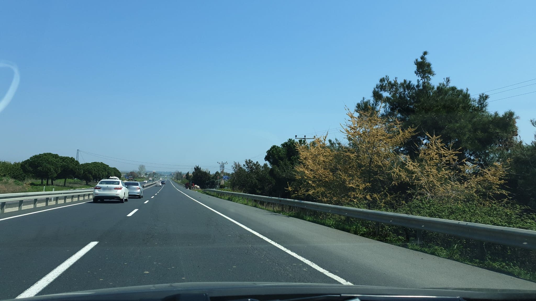 Street view near Ağadayı Dinlenme Tesisi, Tekirdağ — © mcamlica (CC BY-SA · Mapillary)