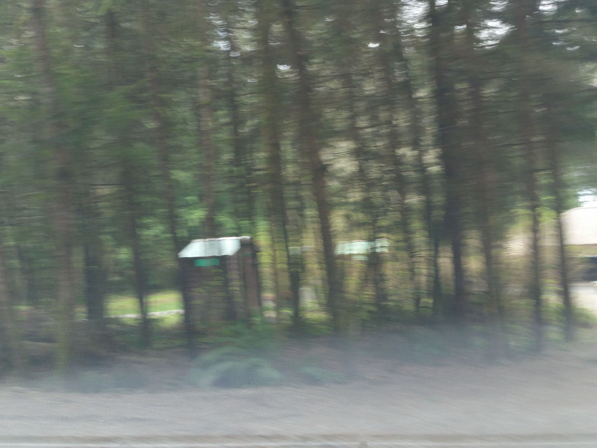 Street view near French Beach Provincial Park Group Site, Sooke โ ยฉ rps333 (CC BY-SA ยท Mapillary)