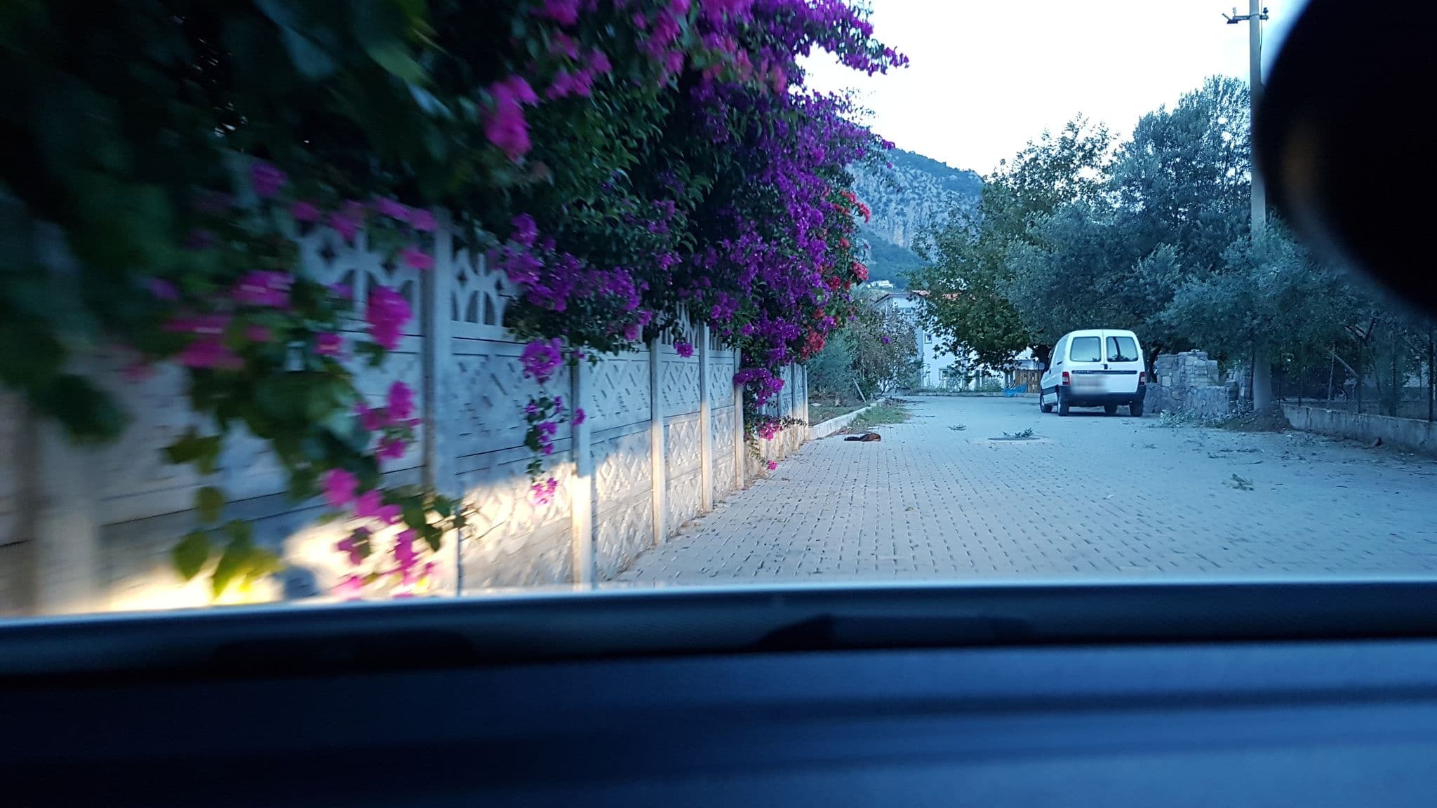 Street view near Kerem Apart Hotel, Göcek — © richardc (CC BY-SA · Mapillary)