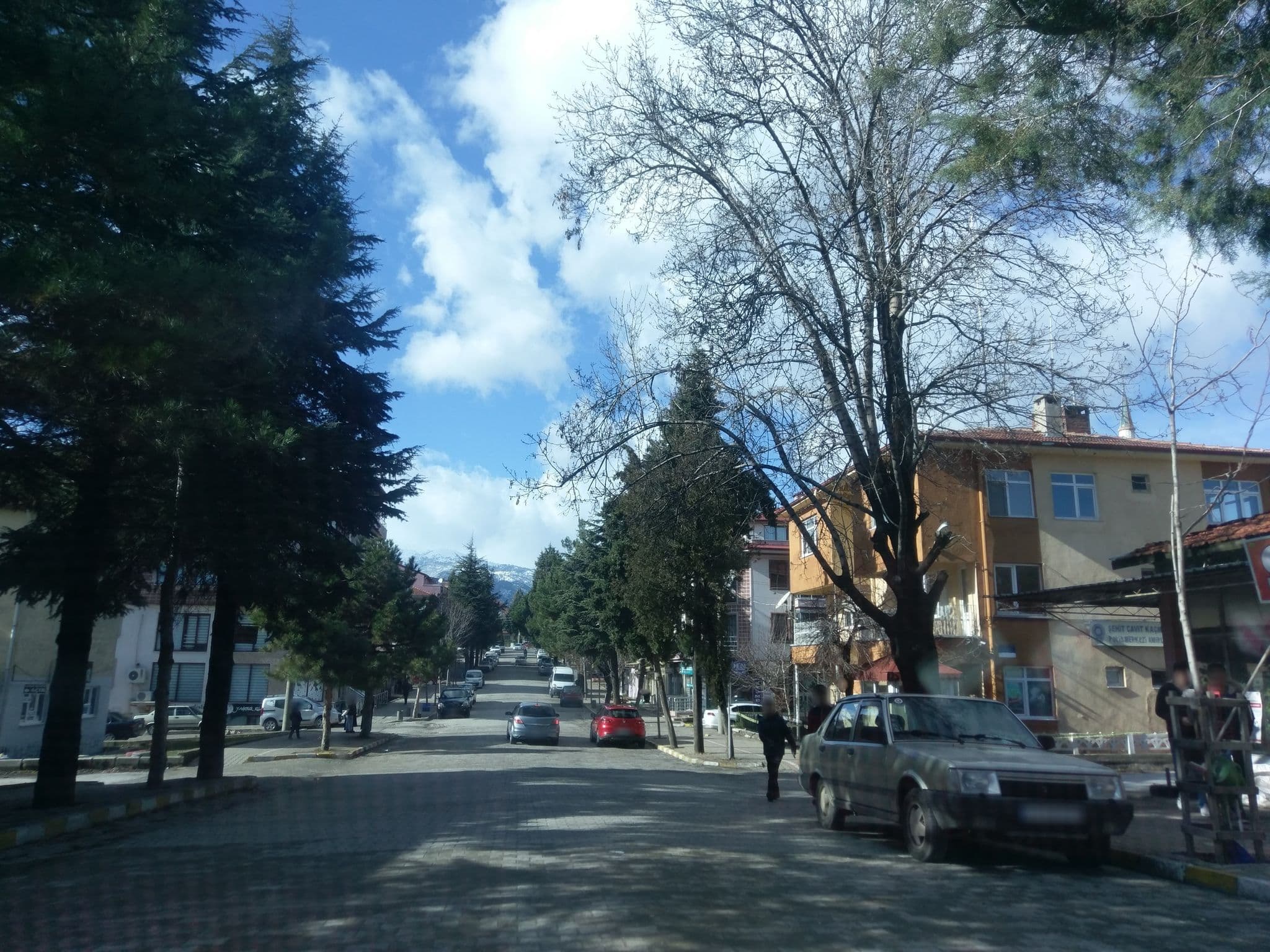 Street view near Dombeylen Yazlığı, Gediz — © ozkanilyasaksu (CC BY-SA · Mapillary)