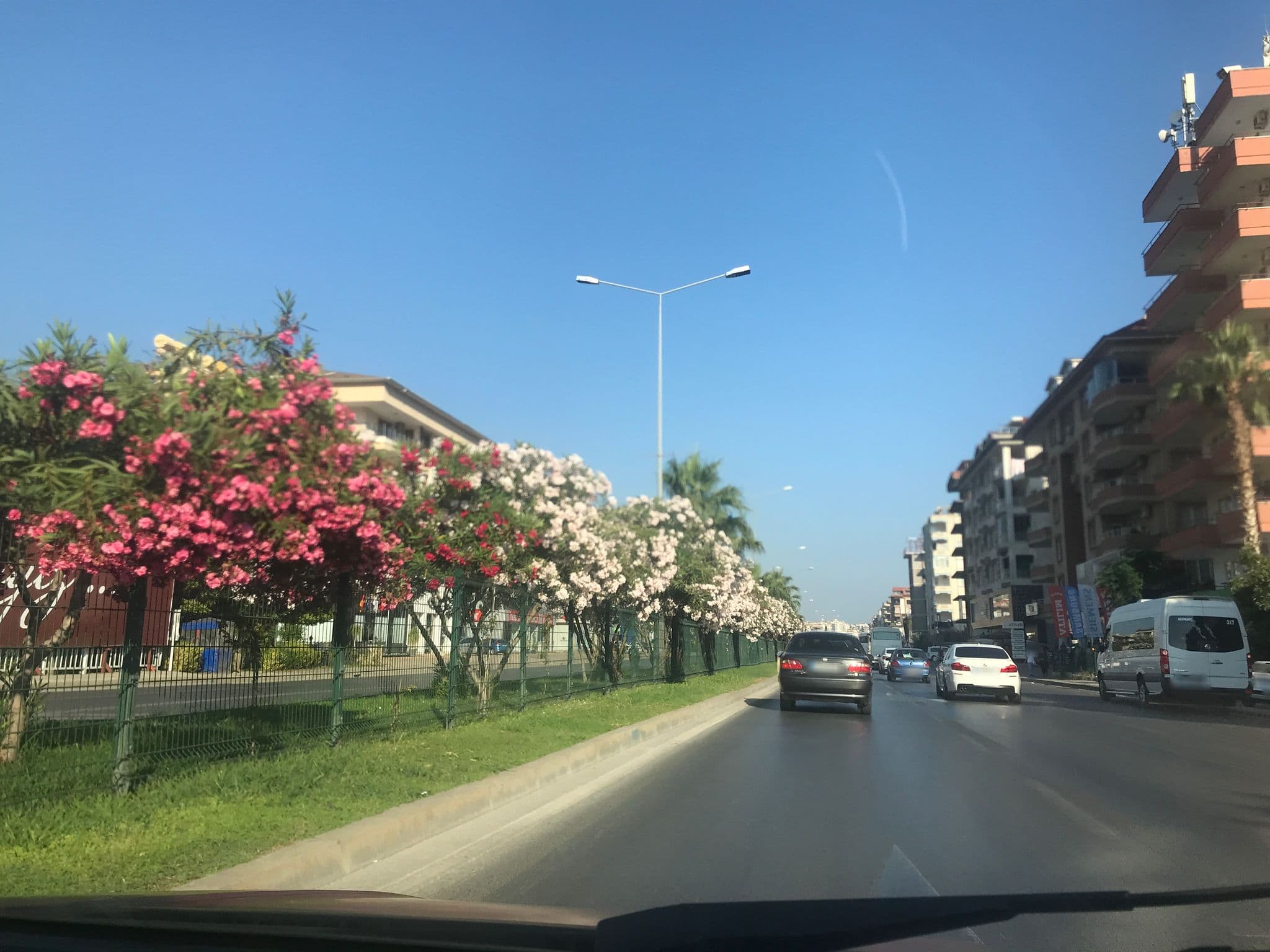 Street view near Oba Klasis Otel, Cikcilli — © alpzsarac (CC BY-SA · Mapillary)