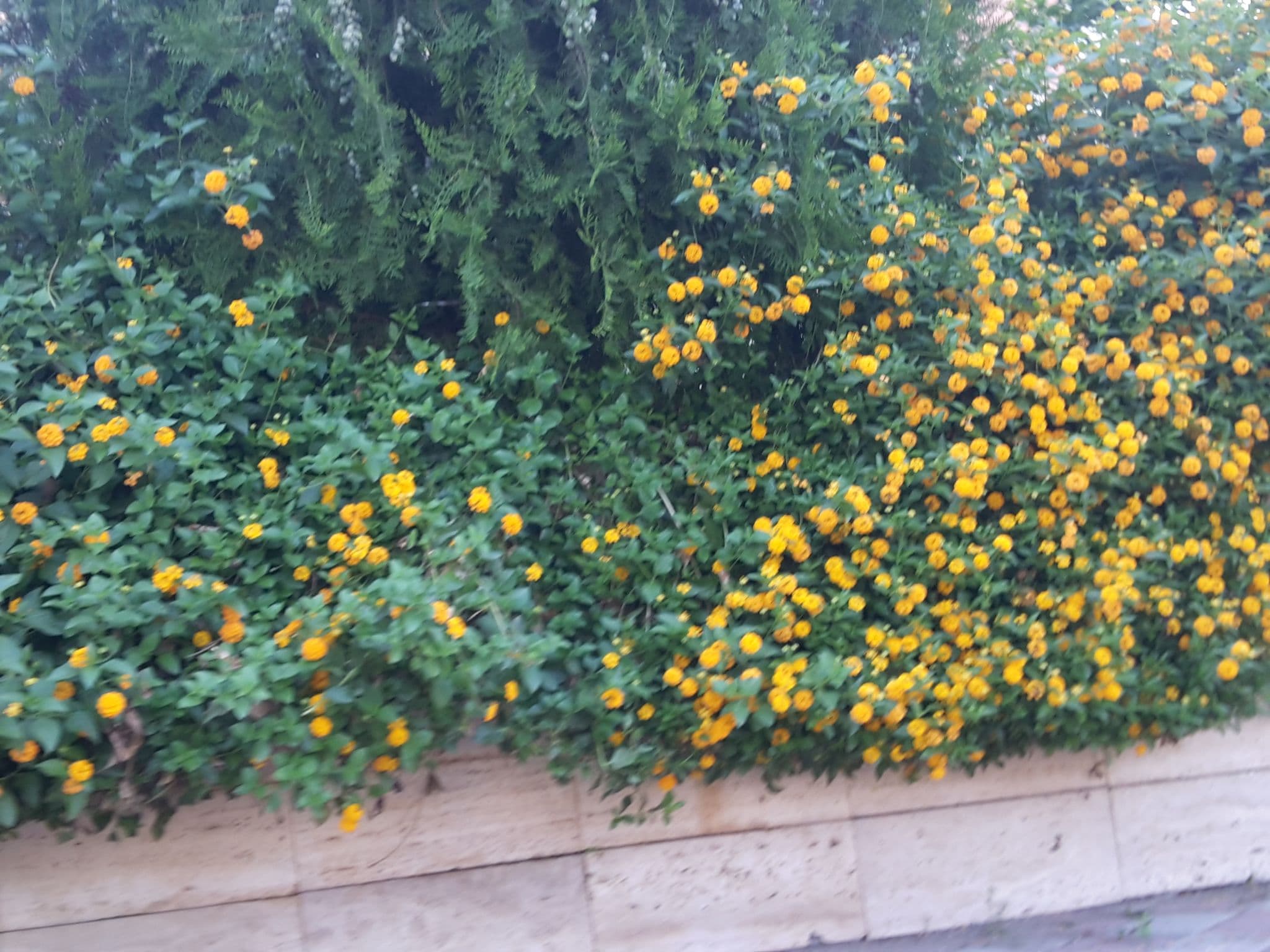 Street view near Room 1025, Kemer — © bigmap (CC BY-SA · Mapillary)