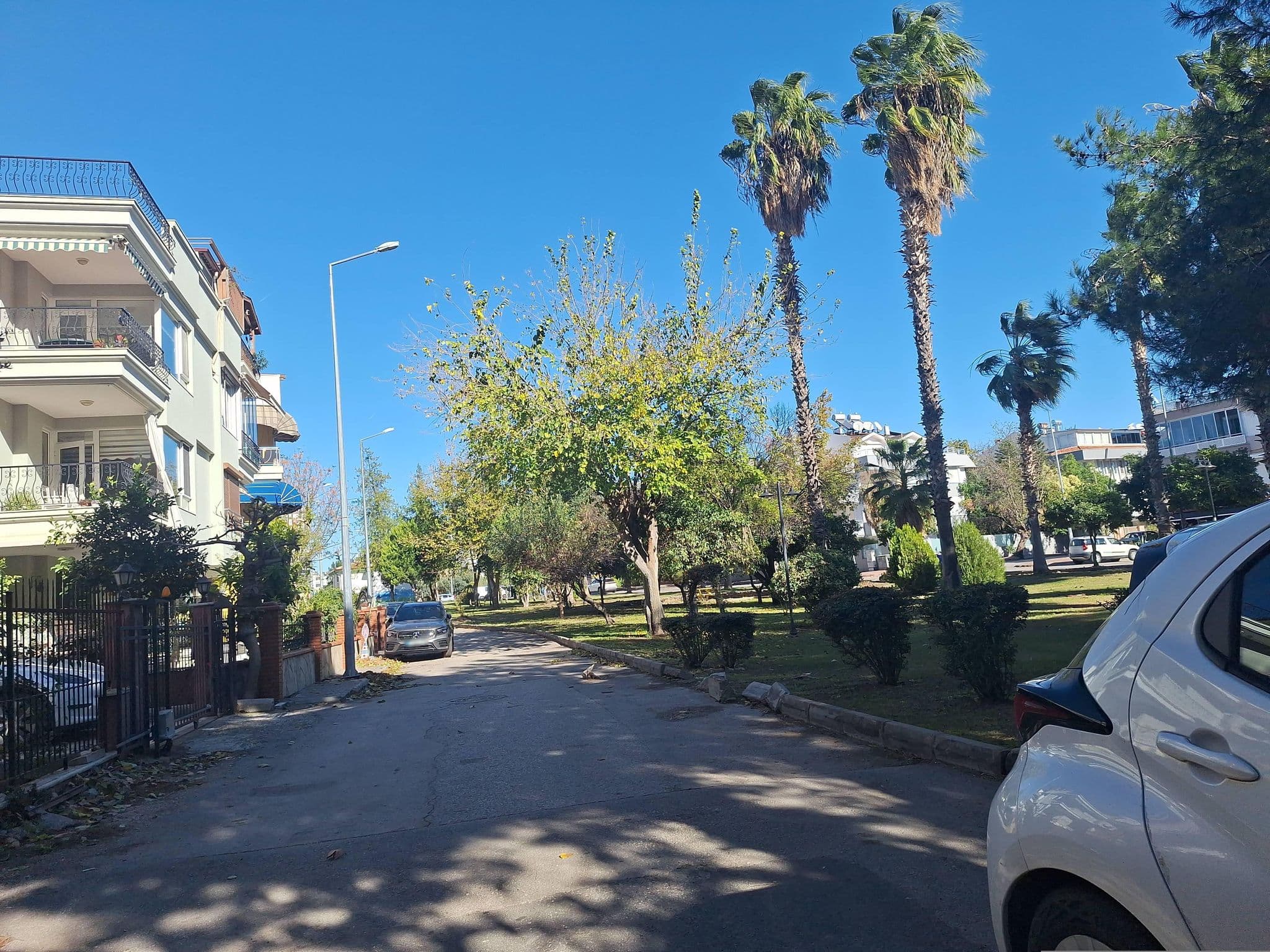 Street view near Adonis hotel, Muratpaşa — © Guria (CC BY-SA · Mapillary)
