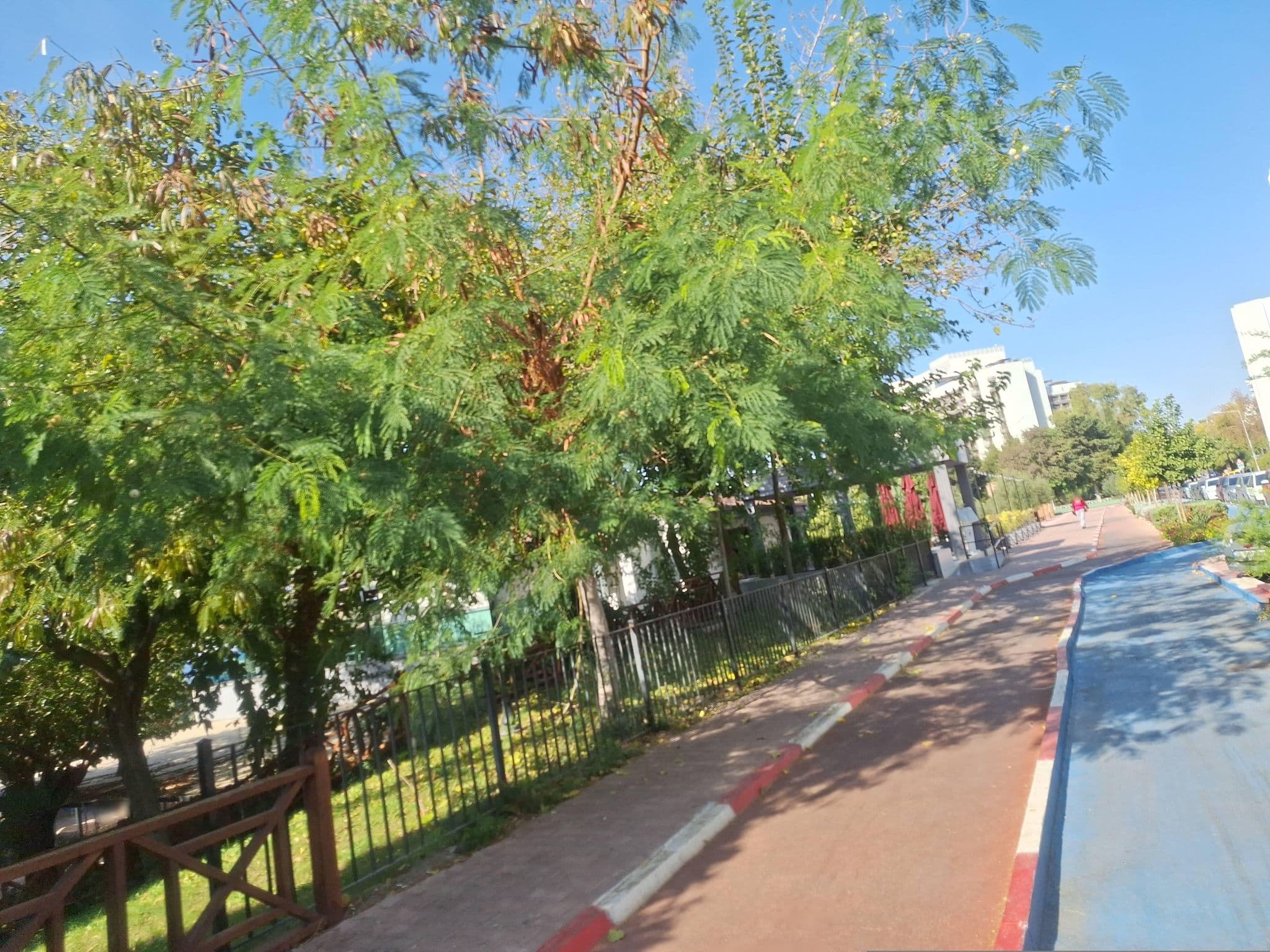 Street view near the marmara antalya otel gala, Muratpaşa — © Guria (CC BY-SA · Mapillary)